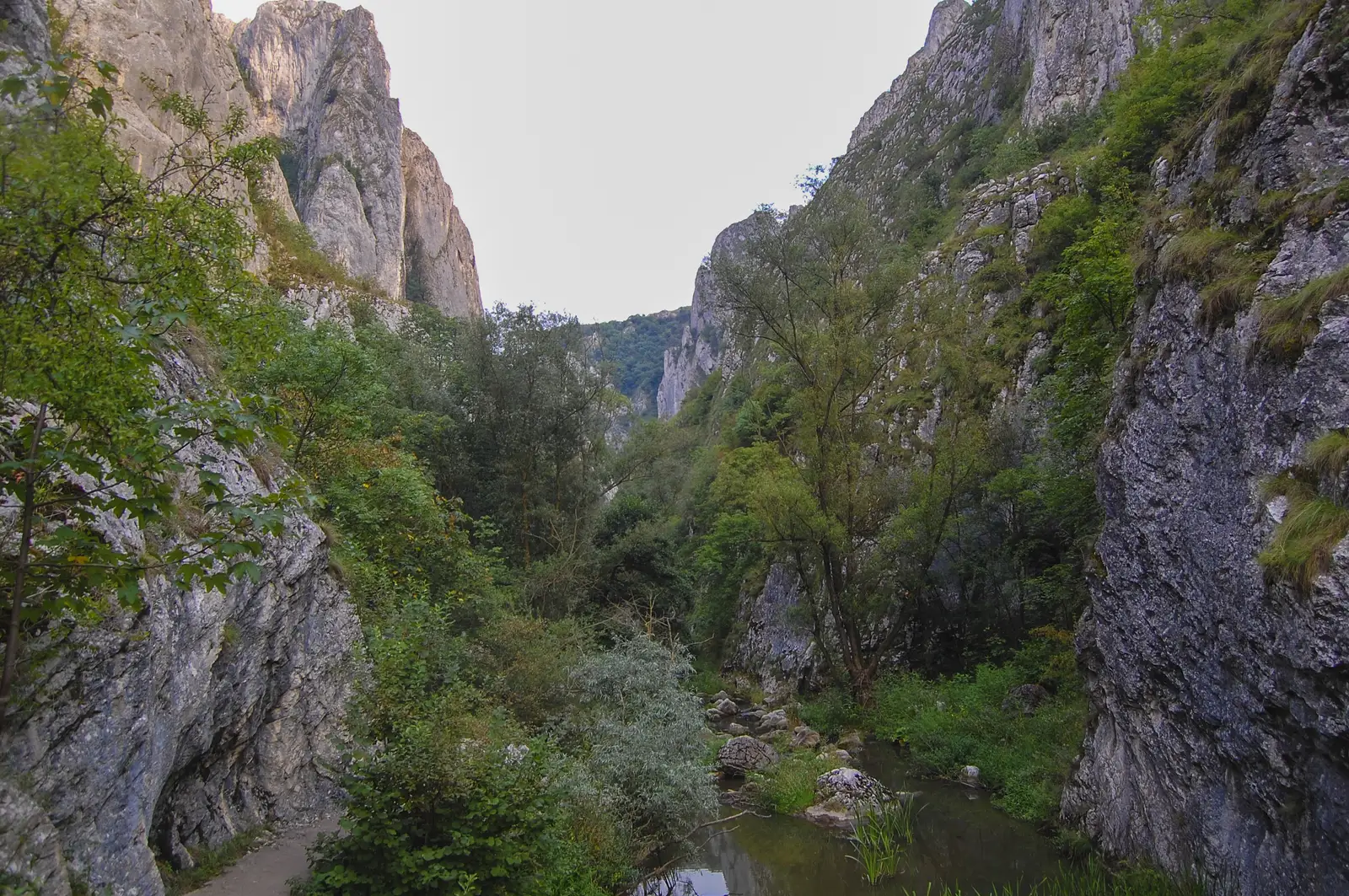 Cabana Cheile Turzii - Cheile Turzii (pe firul apei) - Petreștii de Jos