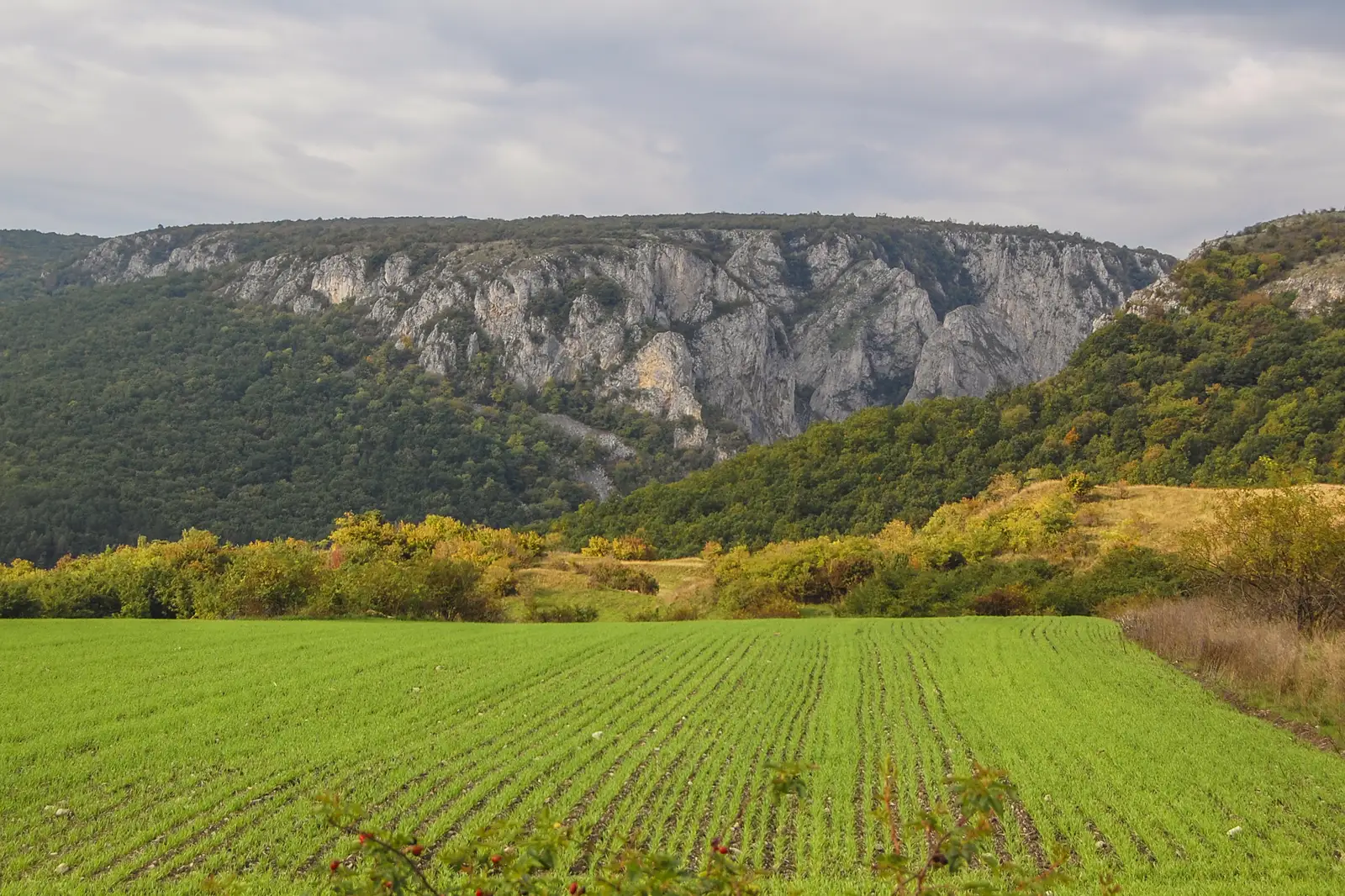 Ampoiţa (DN74) - Piatra Boului - Remetea