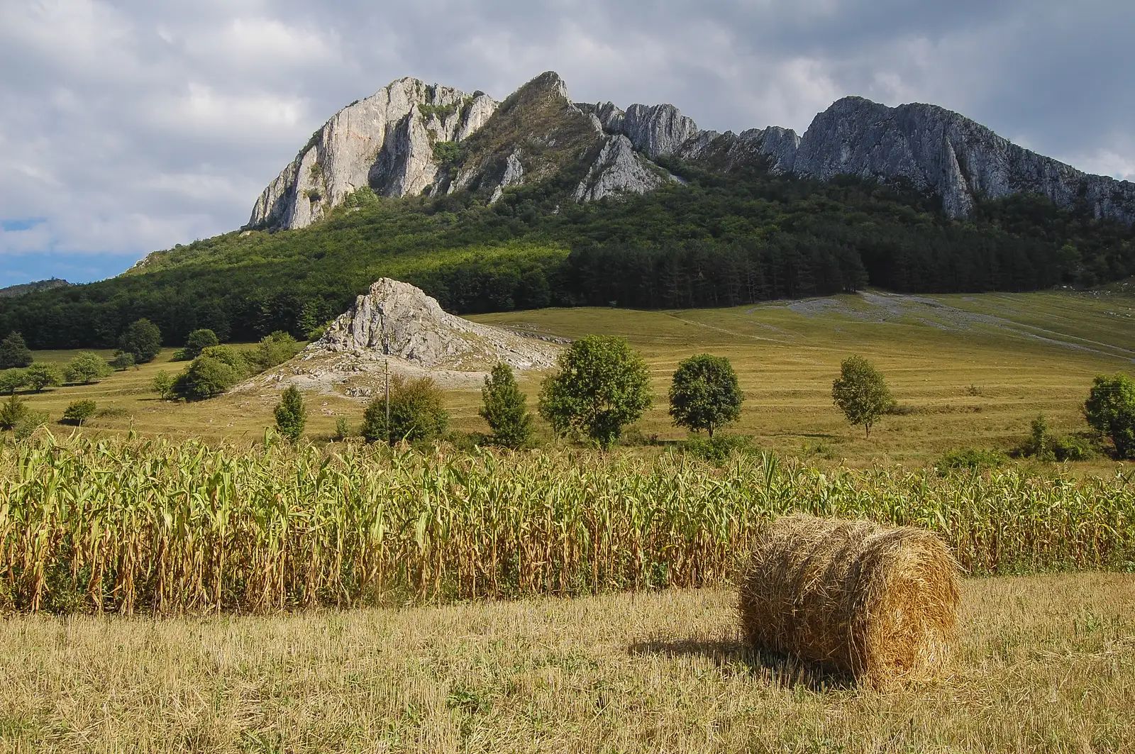 Tureni - A3 - Dl. Petridului - Ch. Turzii - Măn. Petridului - V. Arieșului - Moldovenești - Piatra Secuiului - Rimetea
