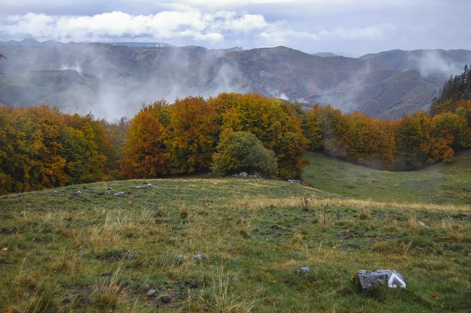 Feneșasa - lângă Vf. Dâmbău