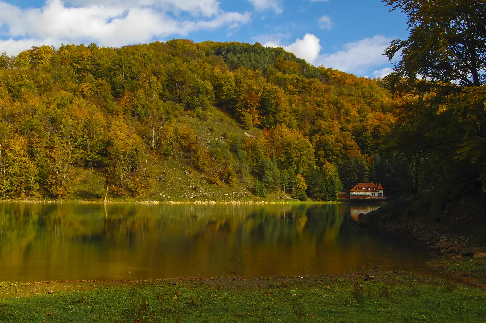 Zlatna - Poiana Măgurii - Ighiel