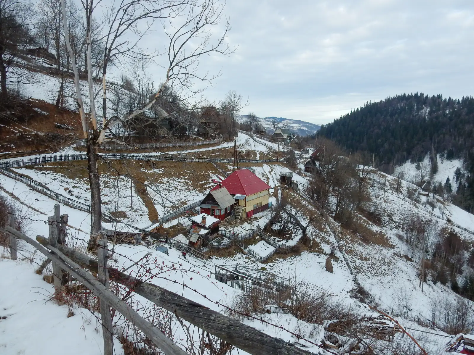 Staţiunea Muntele Băișorii - Gera - Muntele Băișorii (La Cruce)
