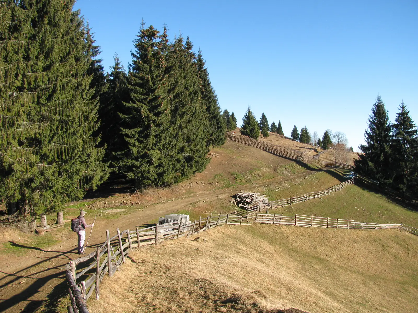 Staţiunea Muntele Băișorii  - Muntele Bocului - Moara de Pădure (Valea Ierii)