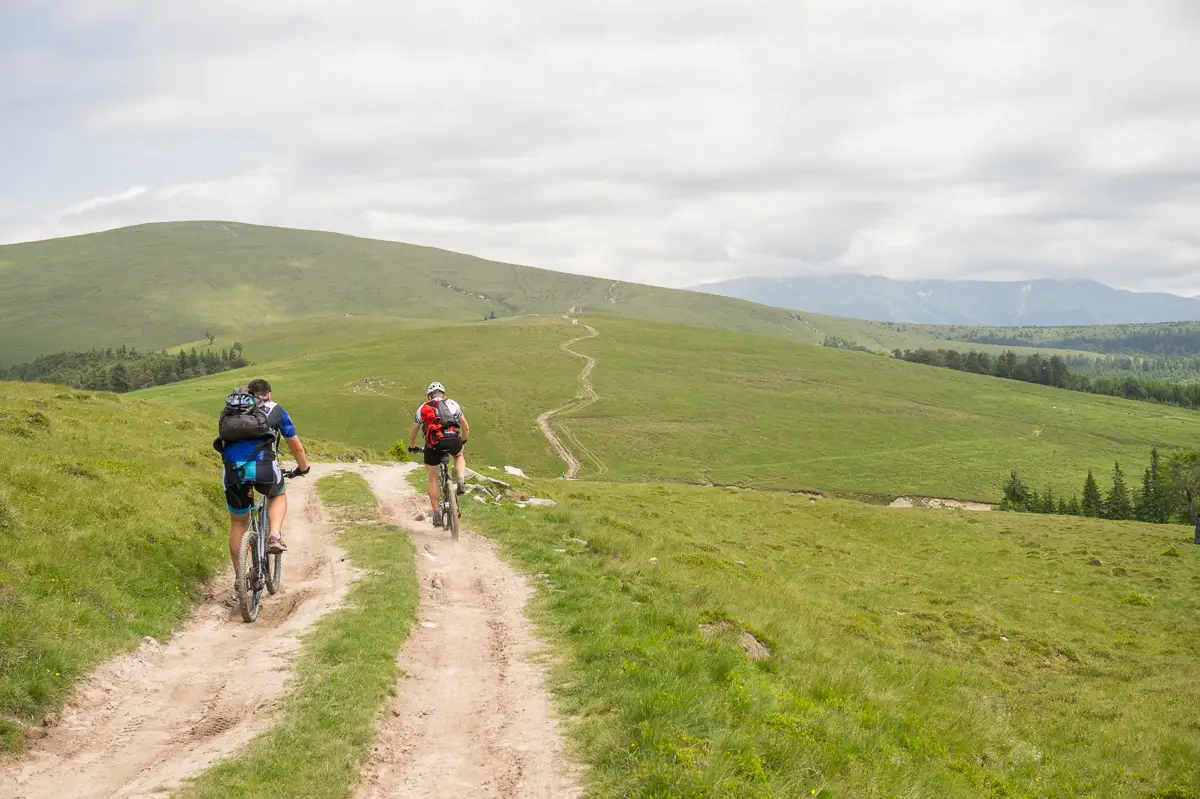 Cărpiniș - Șaua La Mocirle - Șaua Izvorul Cald