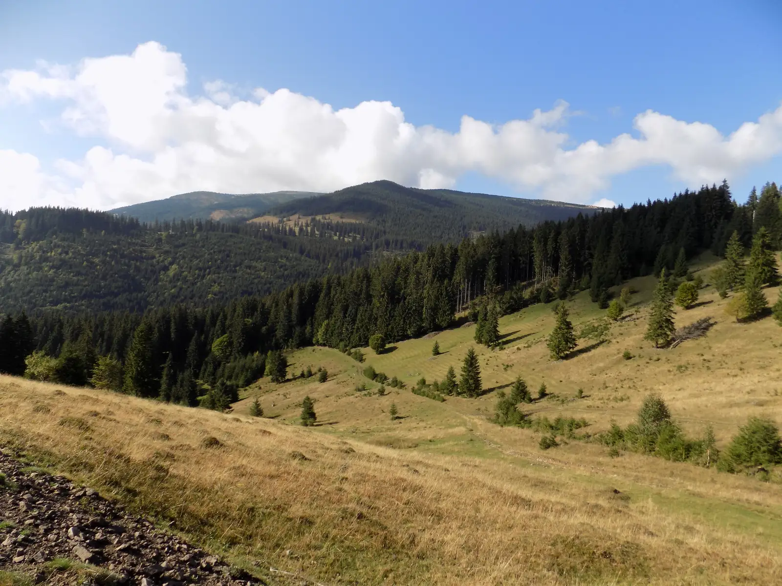 Rogojel-Cabana Vlădeasa