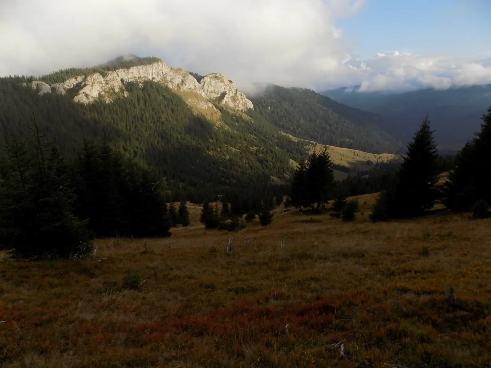 V. Seacă-Traseul 1 BA