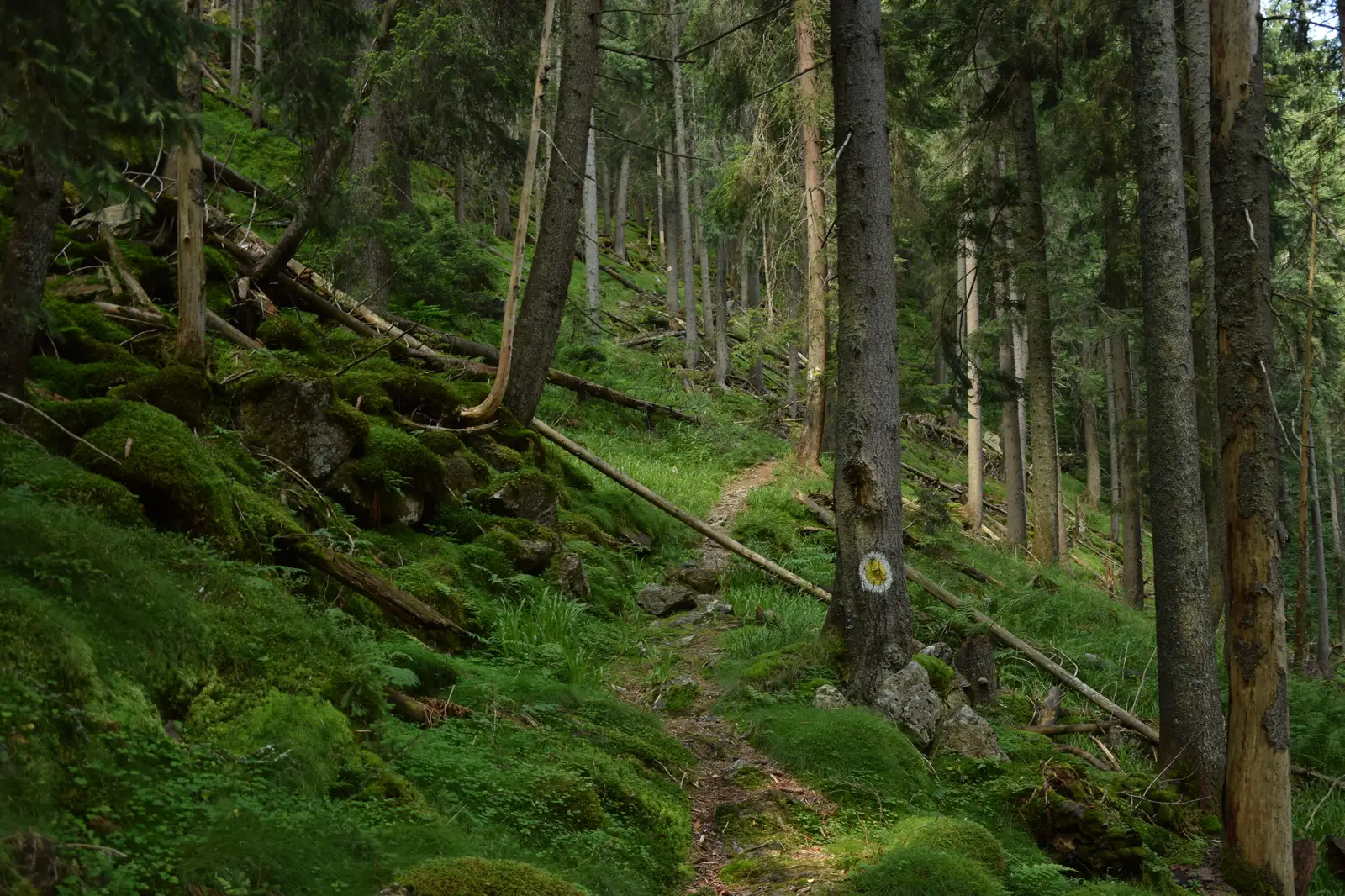 Legătura 16 BG şi 17 TR cu 18 CA