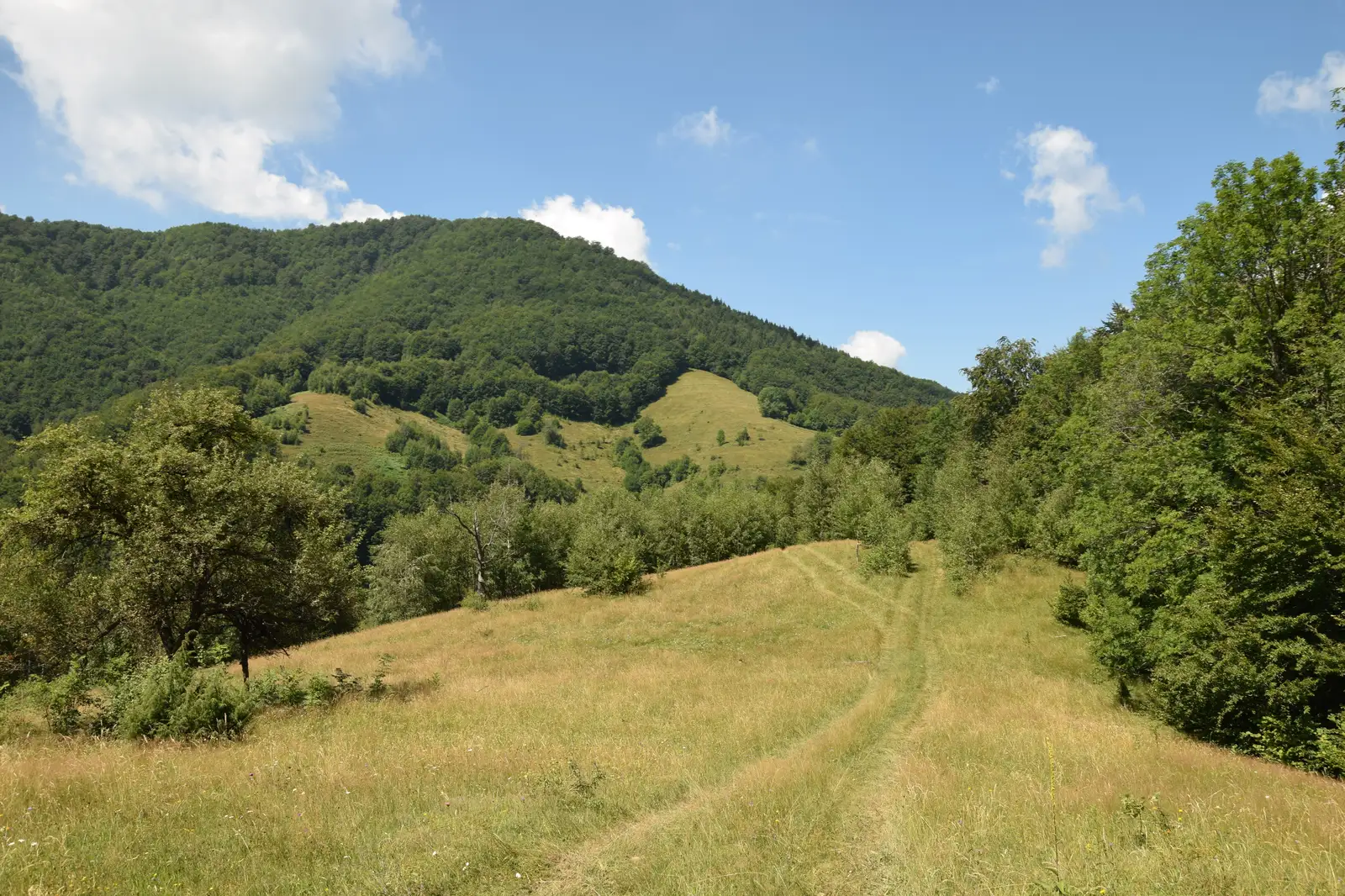 Ferice-Peştera Ferice-Traseul 12 BR