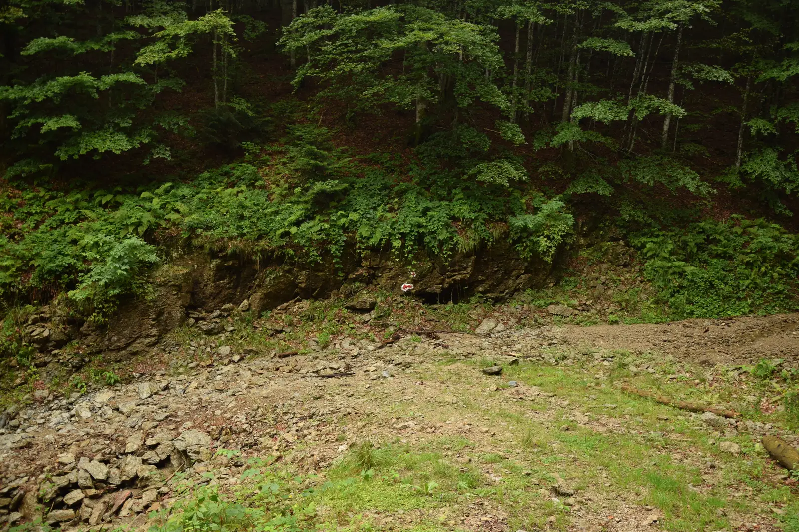 24 PR-Poiana lui Ilie-24 PR