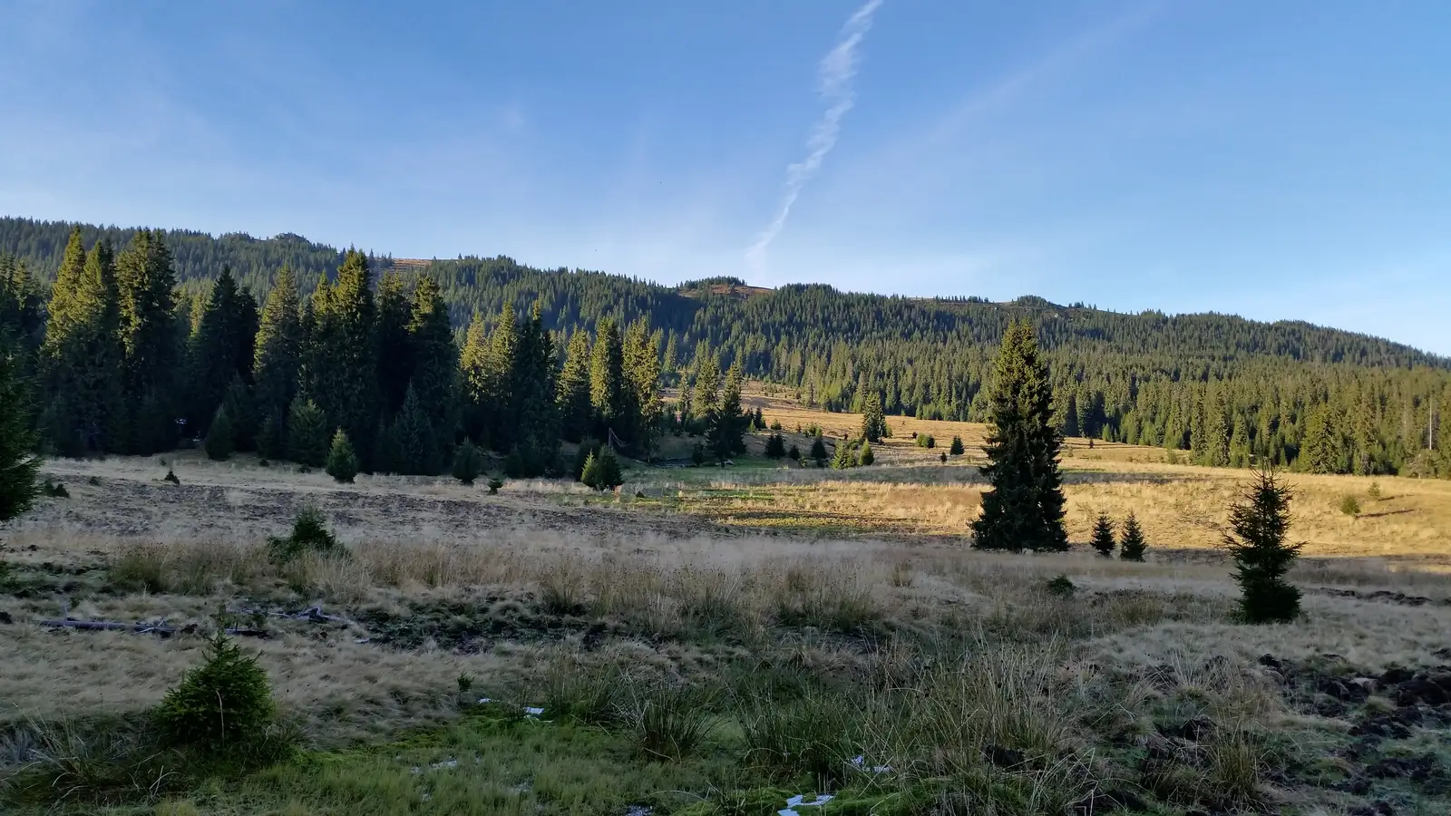 Ic Ponor-V. Someşul Cald-Peştera Onceasa