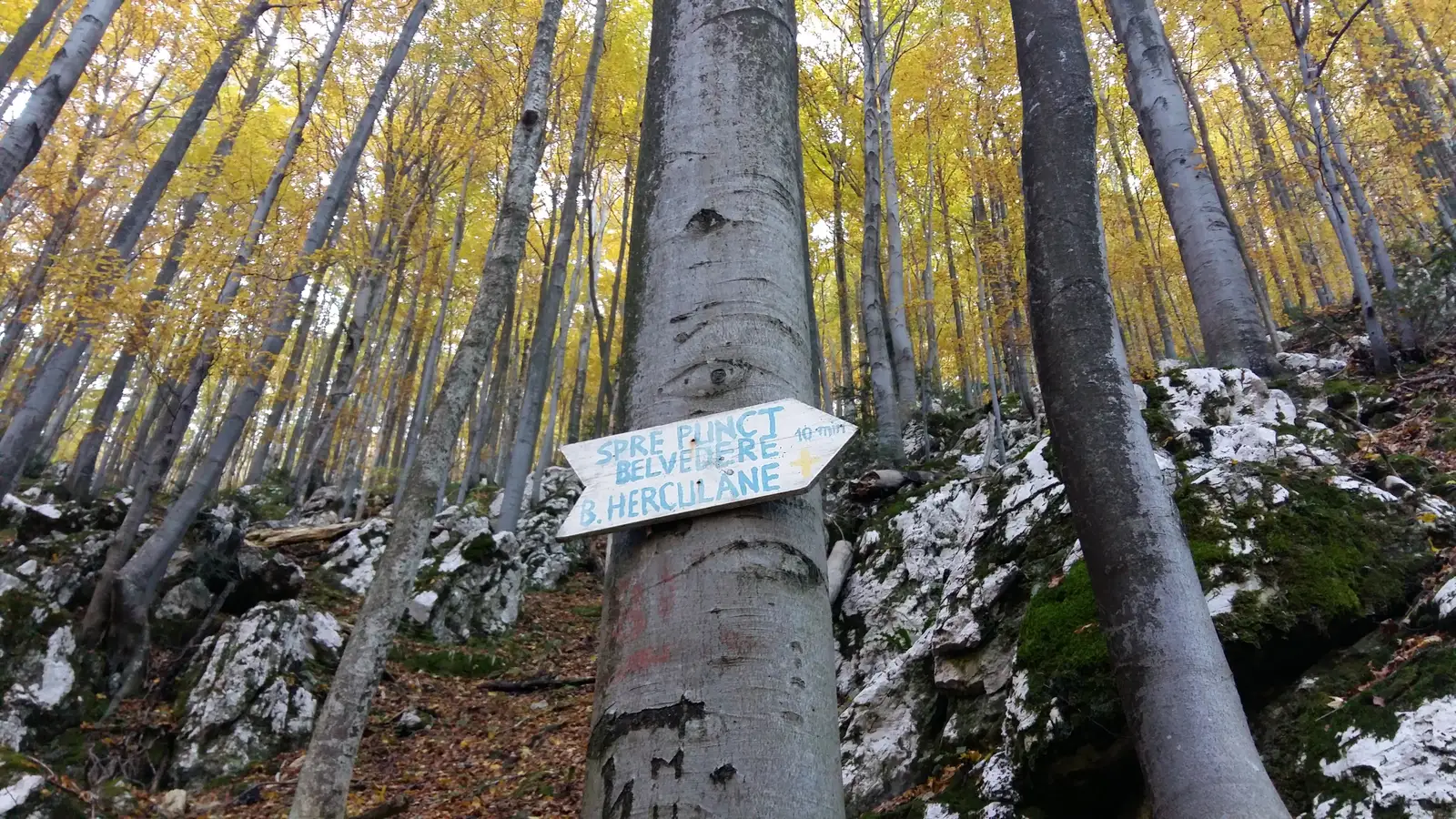 Băile Herculane (DN67D) în dreptul Hidrocentralei - Creasta Munţilor Mehedinţi