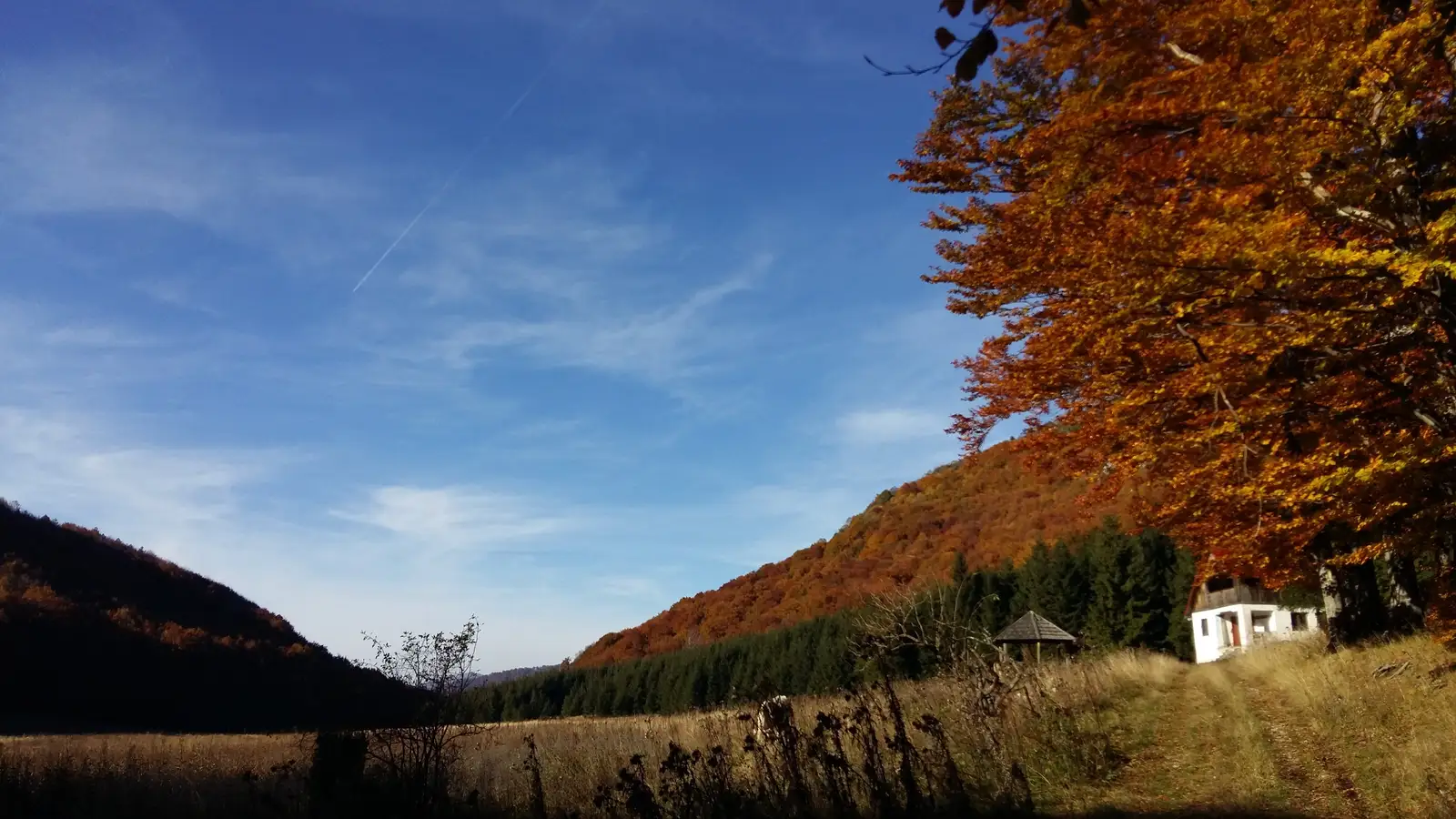 Băile Herculane (DN 67D) în dreptul crucii Ghizelei - Cheile Ţăsnei