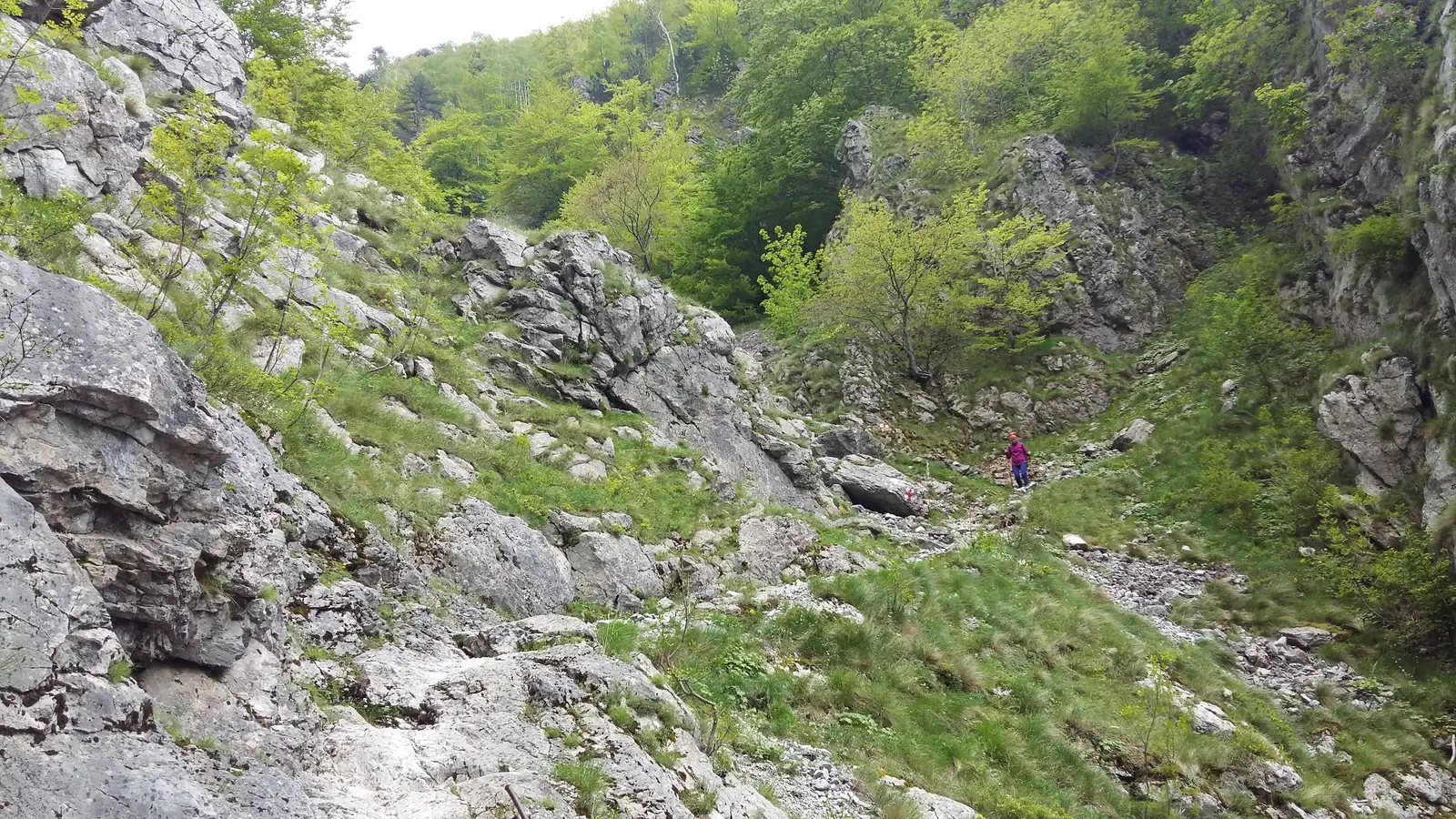 Piatra Pușcată / Confluenţa Tâmnei cu Cerna (km 26) - Isverna