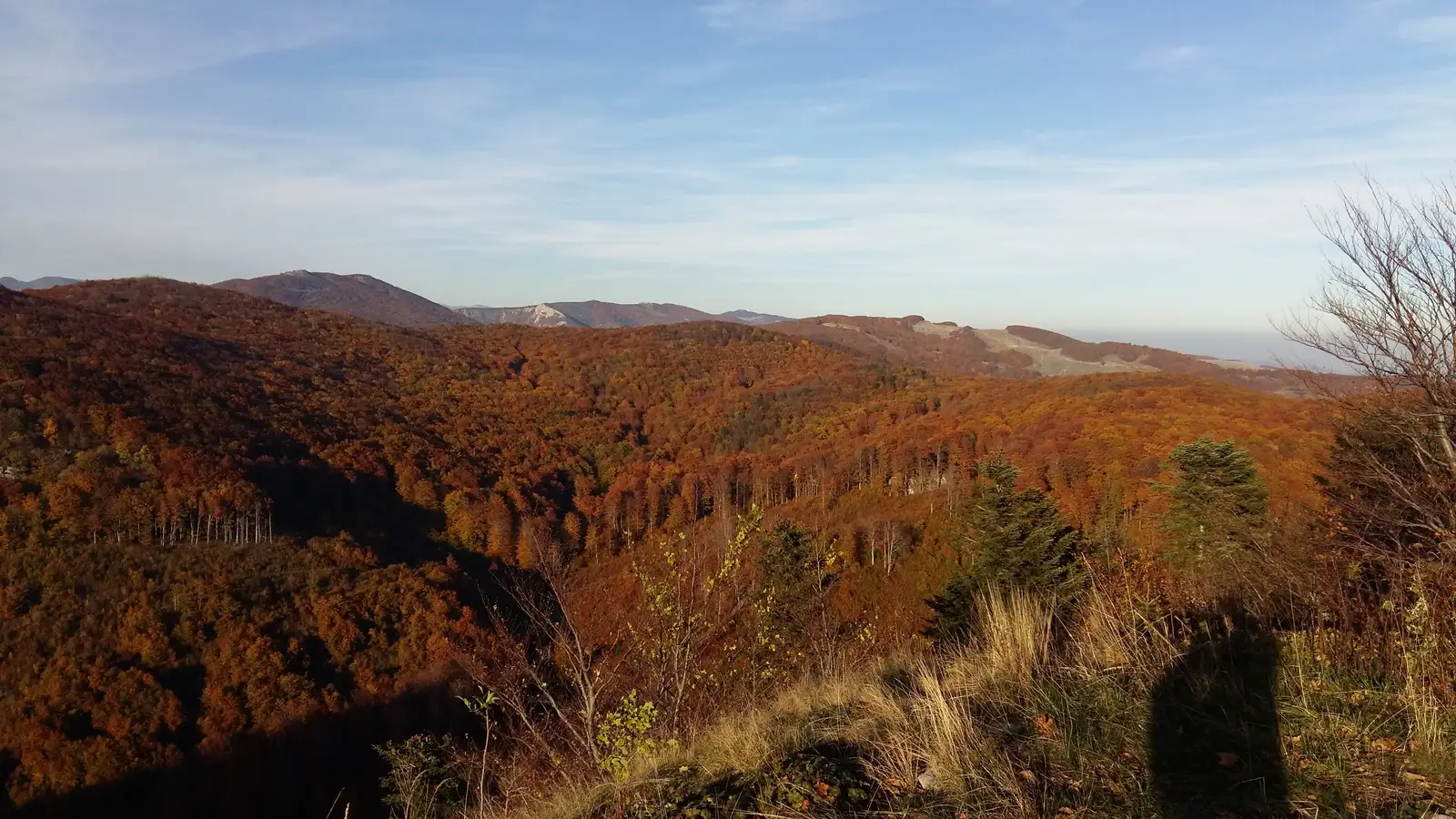 Băile Herculane (DN67D) - Poiana Balta Cerbului