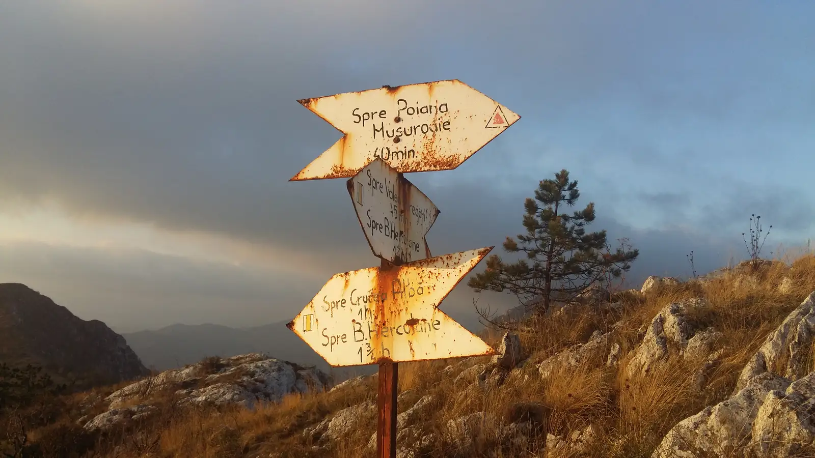 Băile Herculane (DN67D) - Poiana Mușuroane