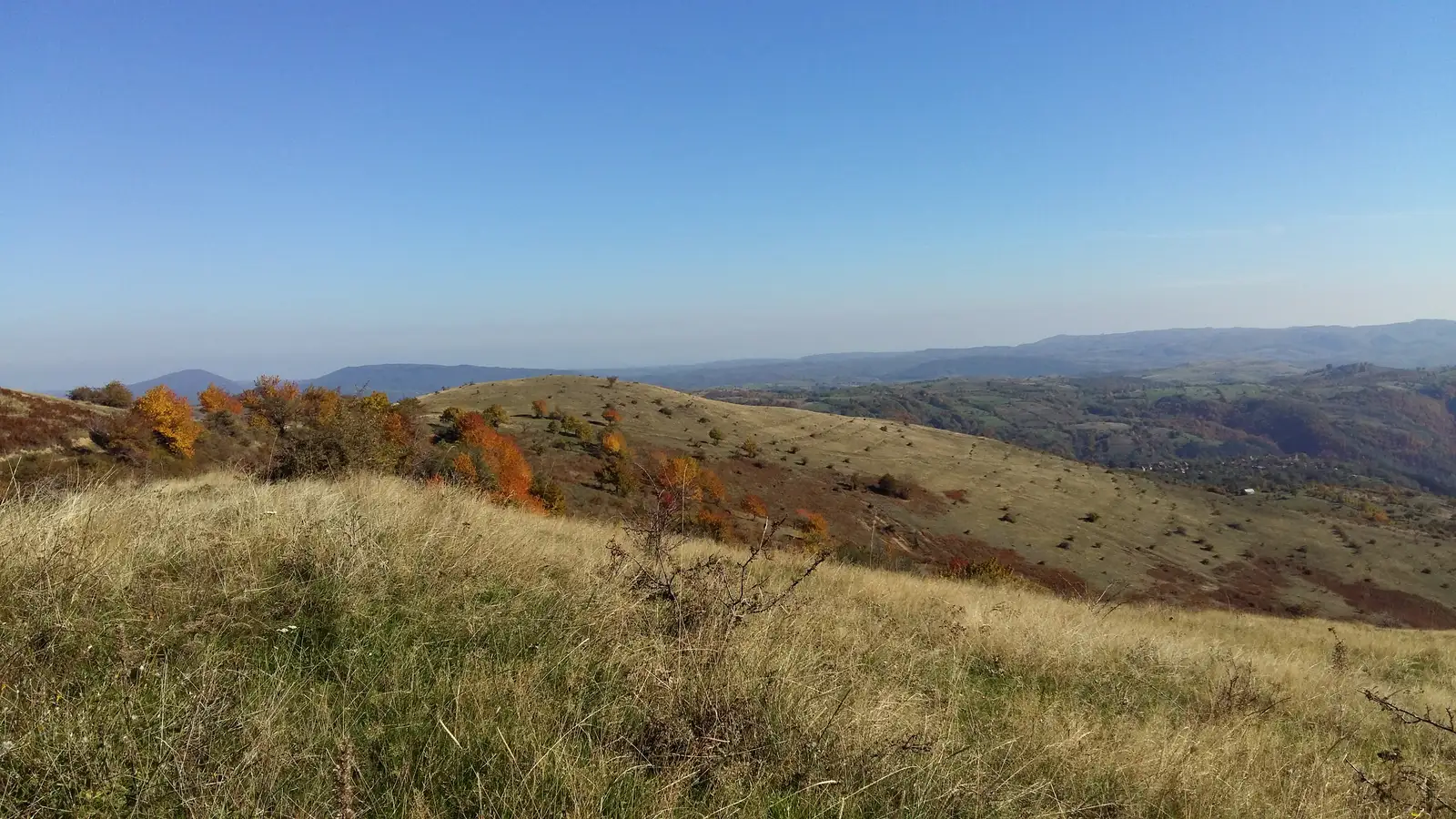 Gornenţi - Poiana Balta Cerbului