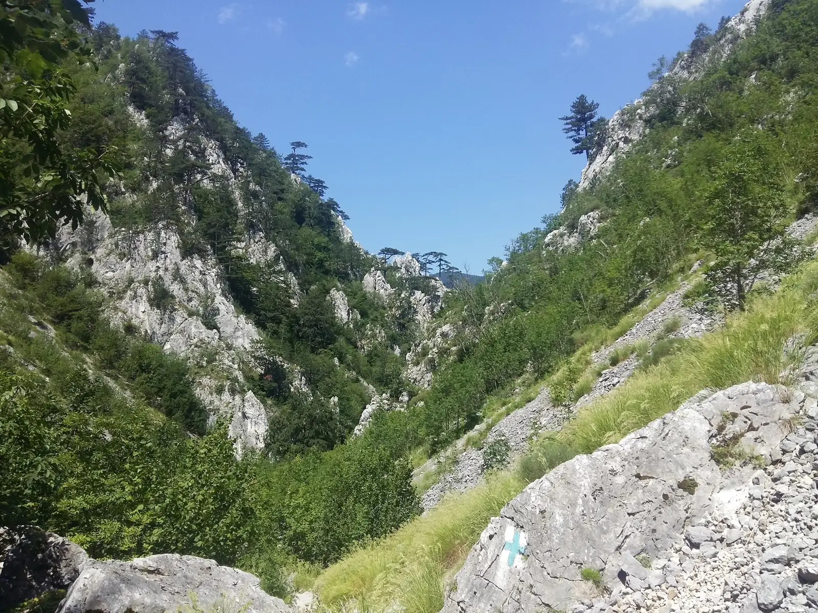 Motel Dumbrava (km 18 DN67D) - Vf. Ciolanu Mic - Costeşti