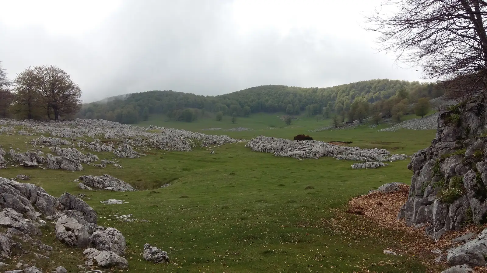 Piatra Pușcată / Confluenţa Tâmnei cu Cerna (km 26) - Șaua Arșasca