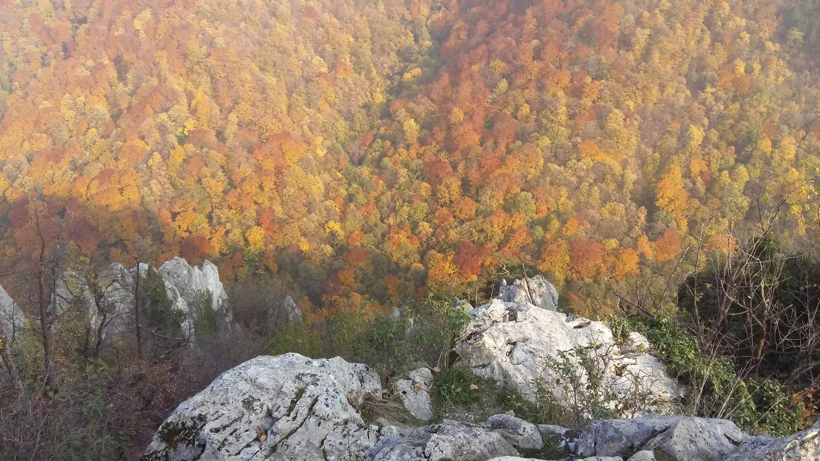 Băile Herculane - Izvorul Diana III