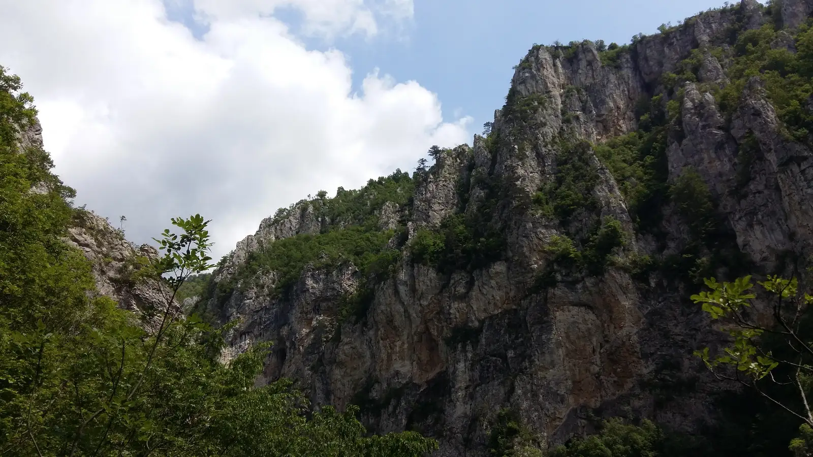 Prisăcina - Șaua Prislop - traseul PR (spre Bogîltin)