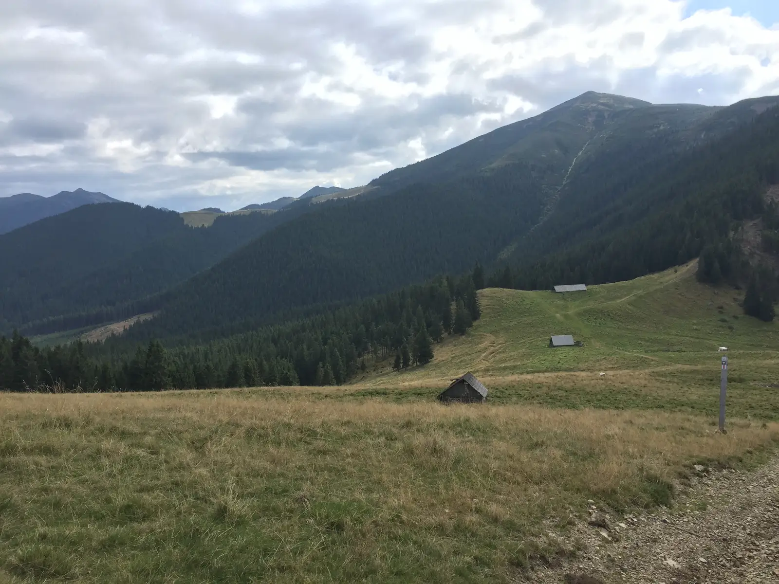 Sat Colibiţa - Izvorul Lung - Şaua Terha