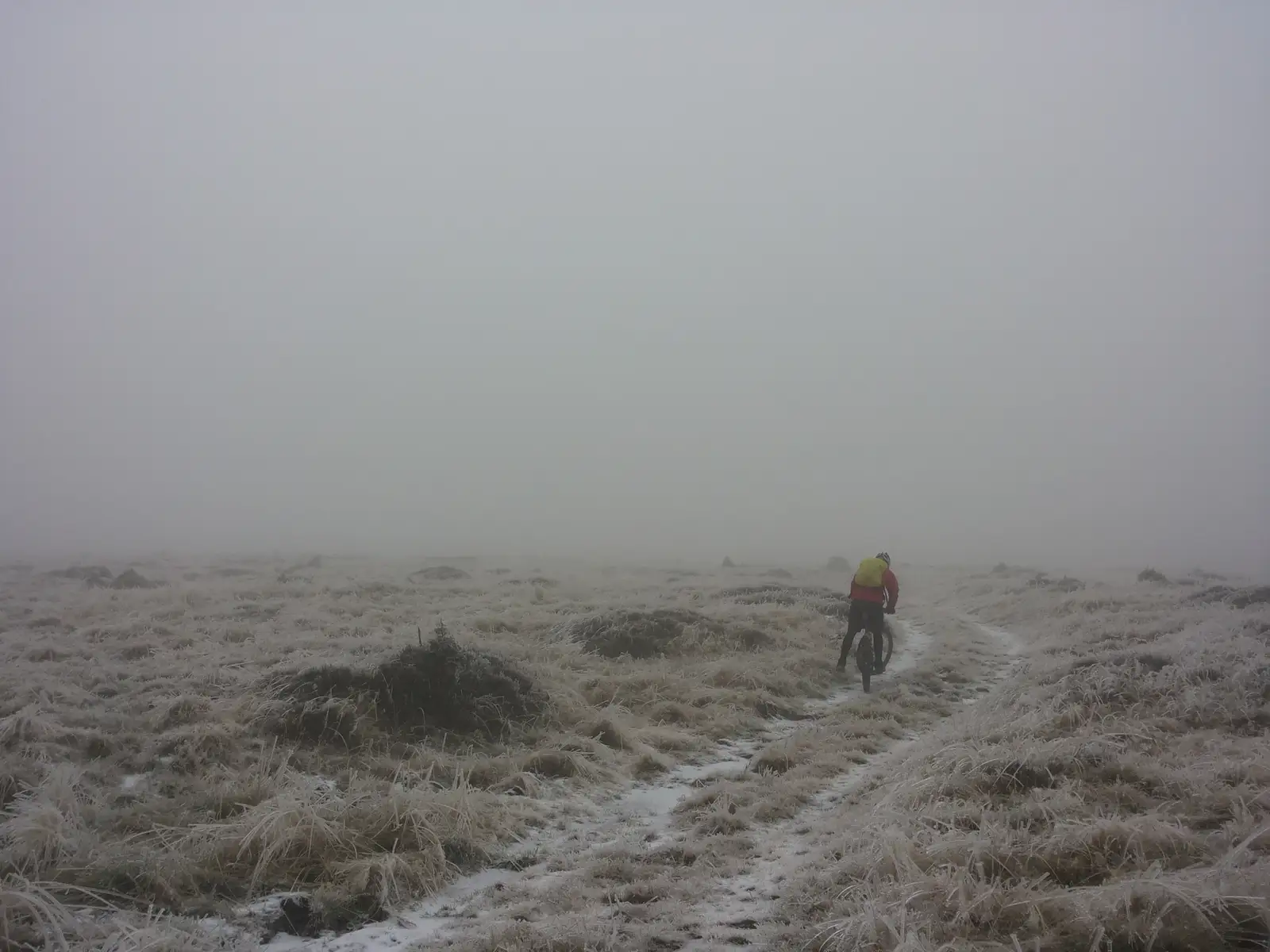 Sat Cuşma - Poiana Ţiganca - Vf. Bistricioru