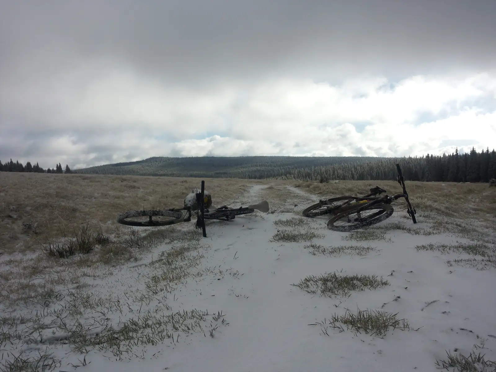 Bistra Mureşului - Valea din Mijloc - Poiana Cofu