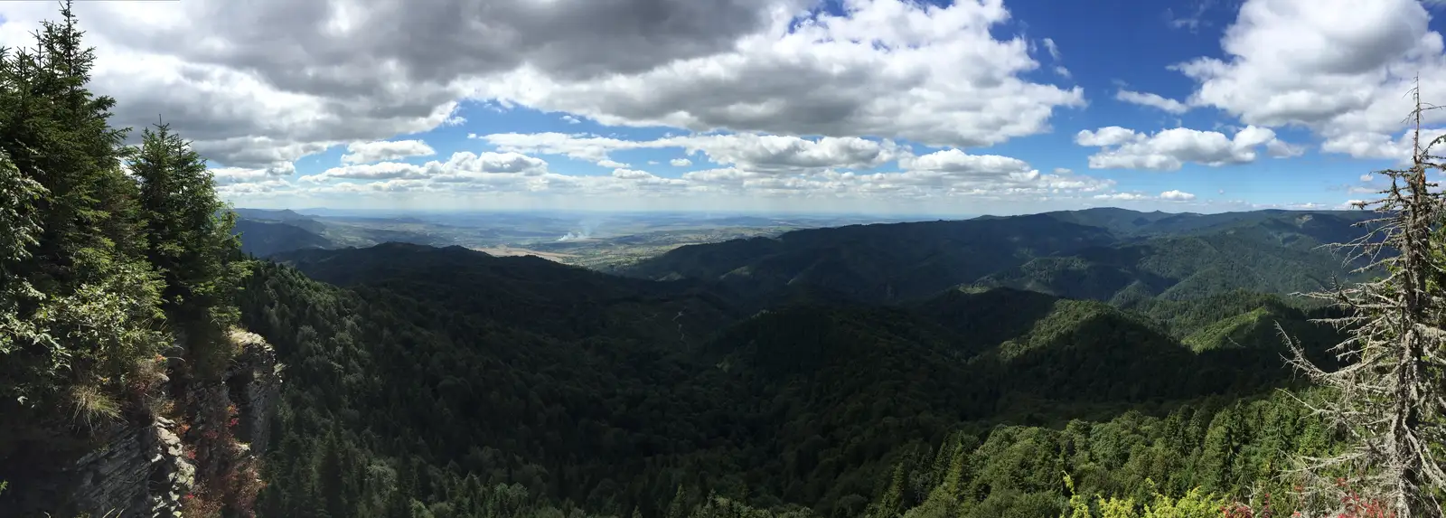 Bistra Mureşului (DN15)-Poiana Lungă-versiune