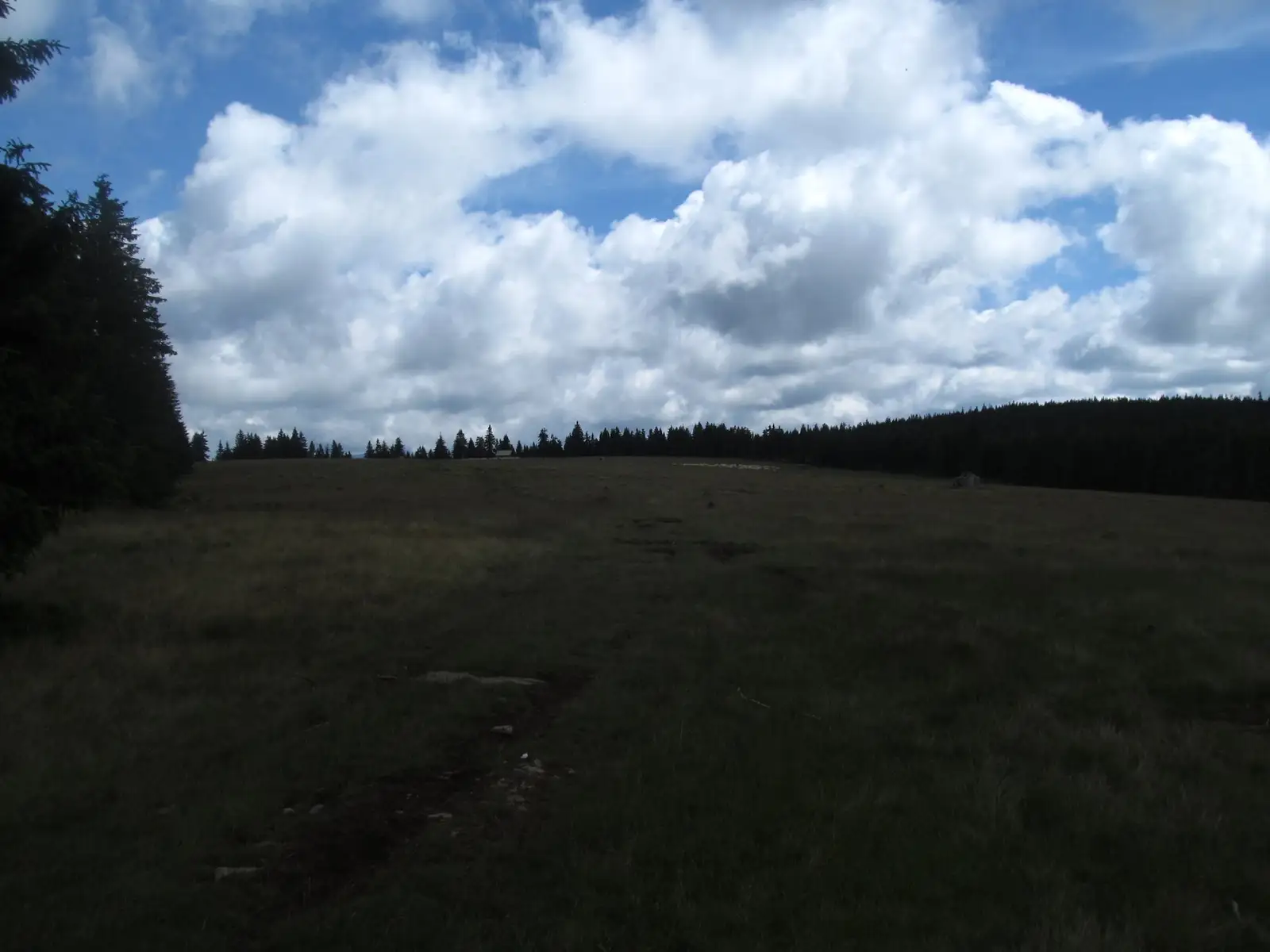 Iod (DN15) - Poiana Arsurii - Poiana Cofu