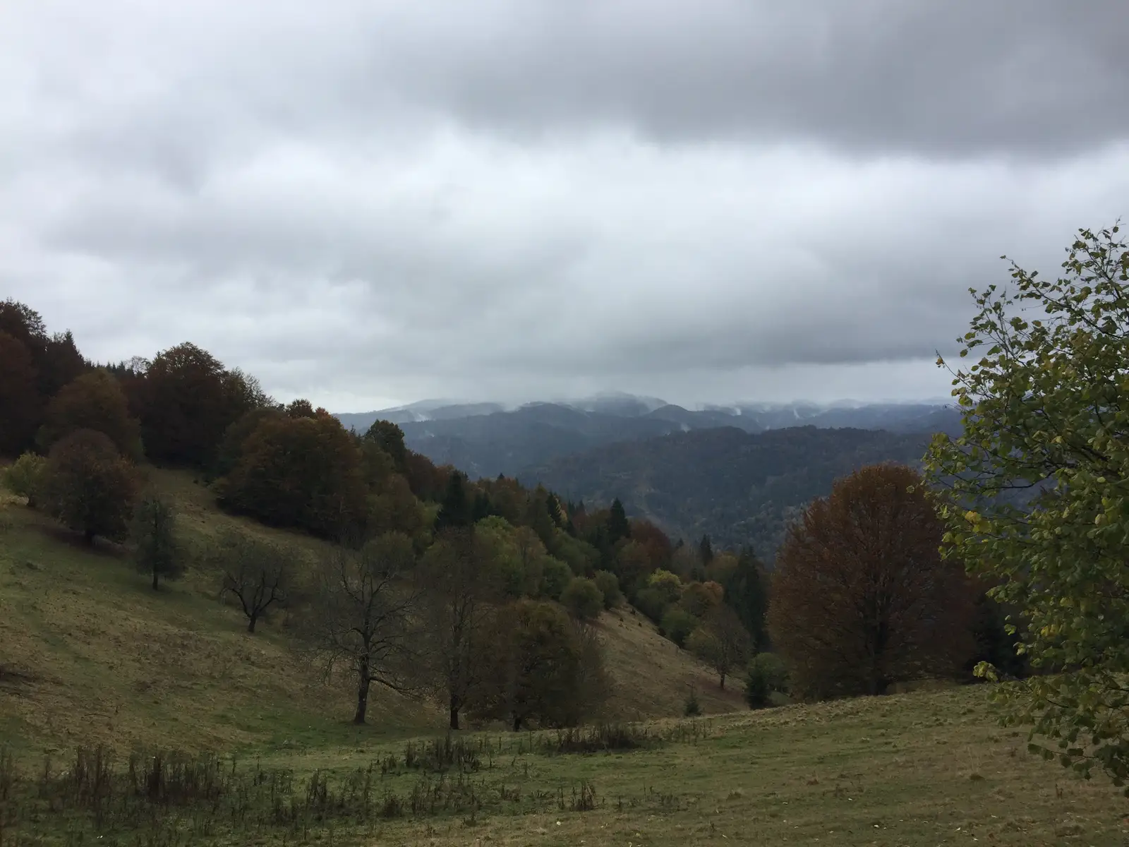 Sălard(DN15) - Poiana Sărăcin - Lunca Bradului