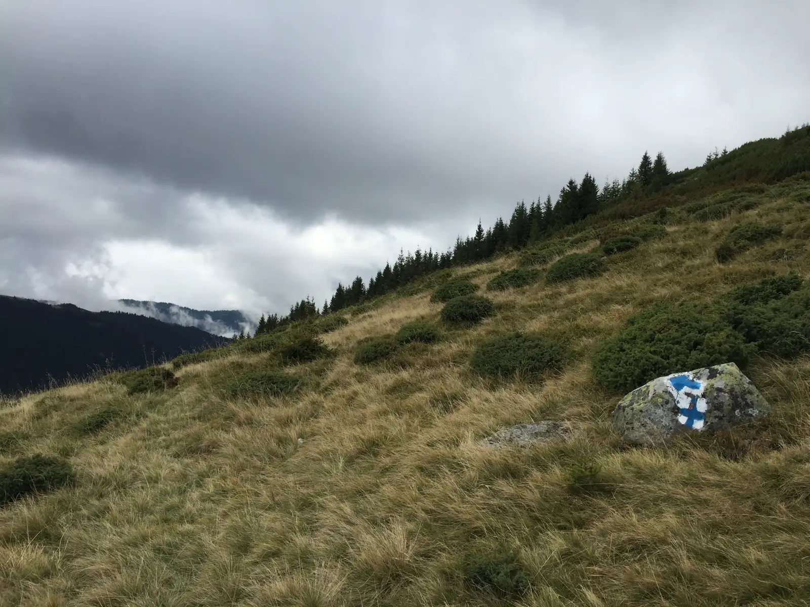 Lunca Bradului (DN15) - Gura Negoiu - Şaua Negoiu