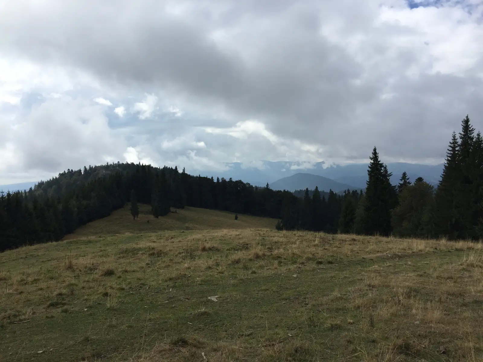 Stânceni - Poiana Zebrac