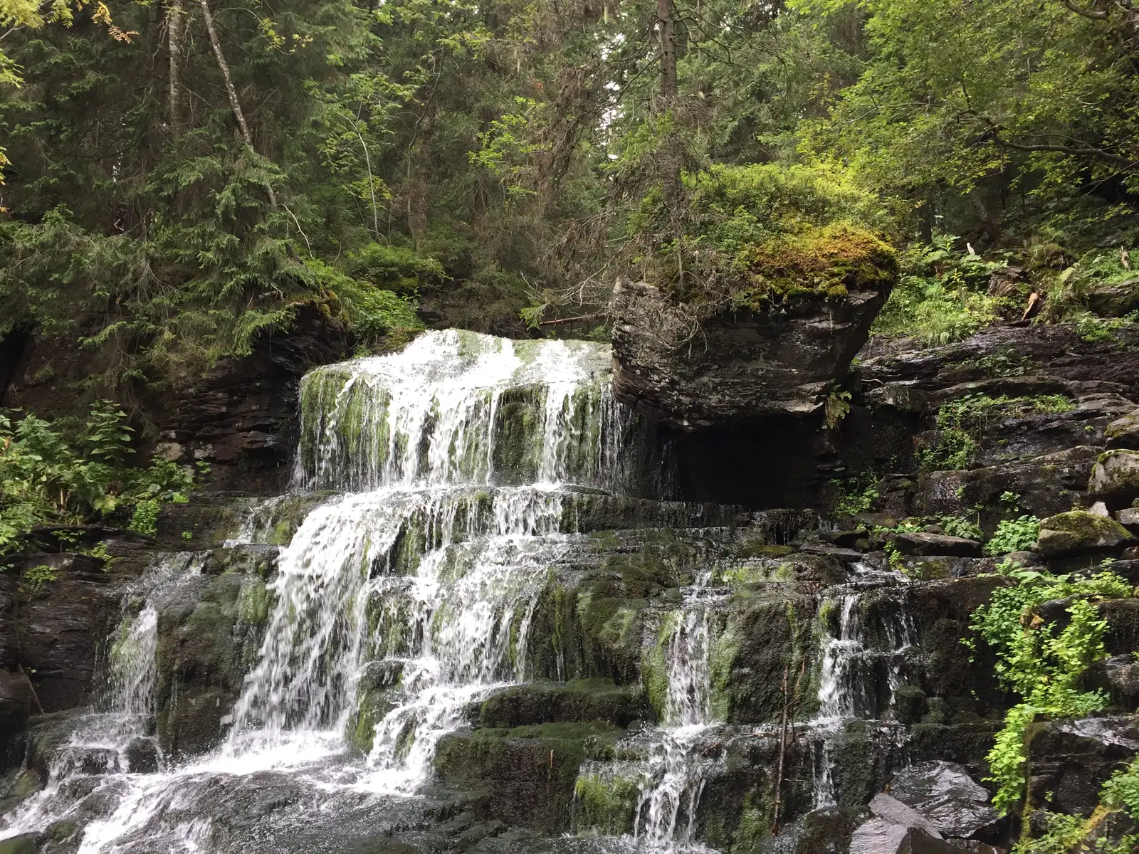 Traseul TA (37) - Cascada Lomăşiţa