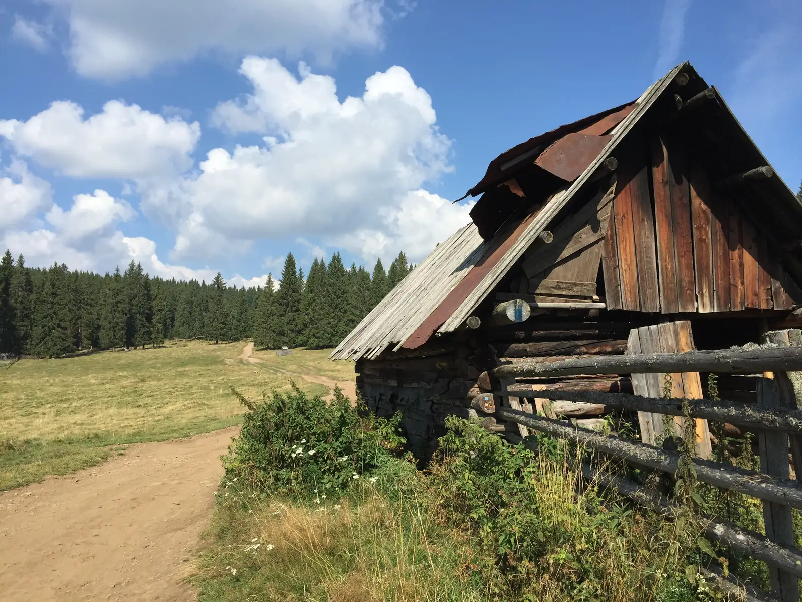 Bilbor - Vf. La Mori - Izvorul Voievodesei - Vf. Răţiţiş