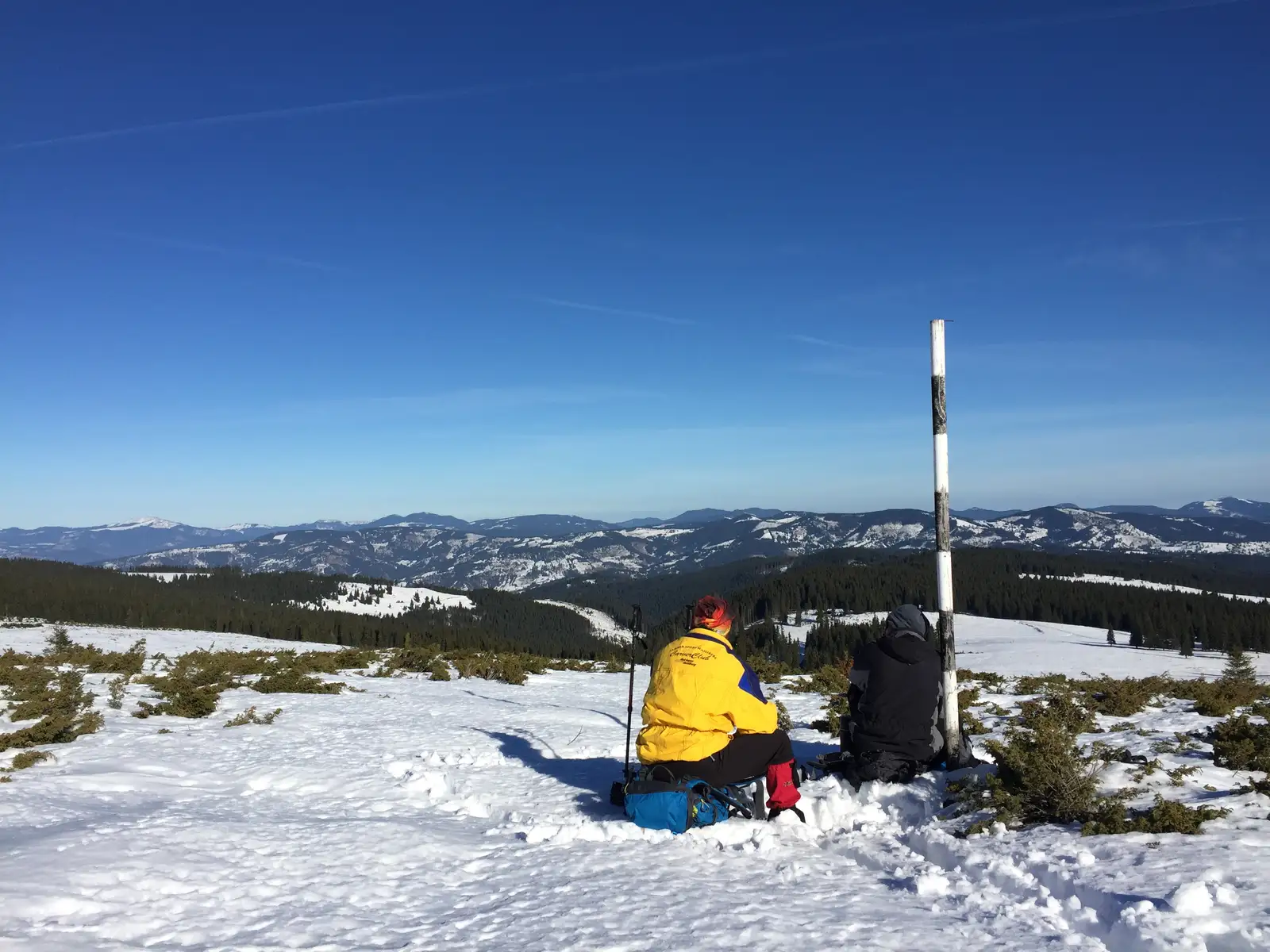 Păltiniş - Muntele Bucinişului - Şaua Voievodesei