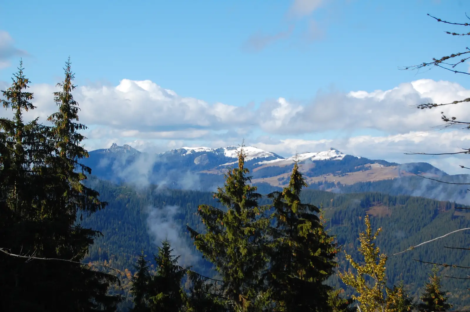 Pasul Mestecăniș - vf. Giumalău - Curmătura Prislop - Vf. Tarniţei - spre Munţii Stânișoarei