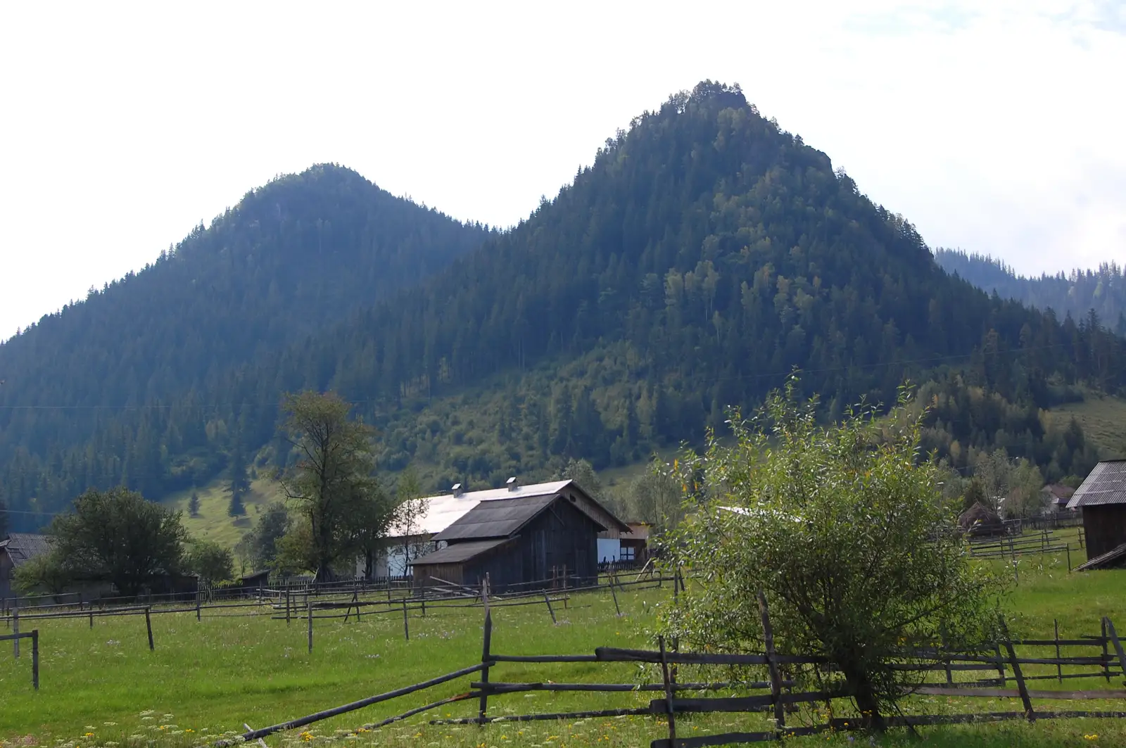 Pojorâta - traseul 14 BA