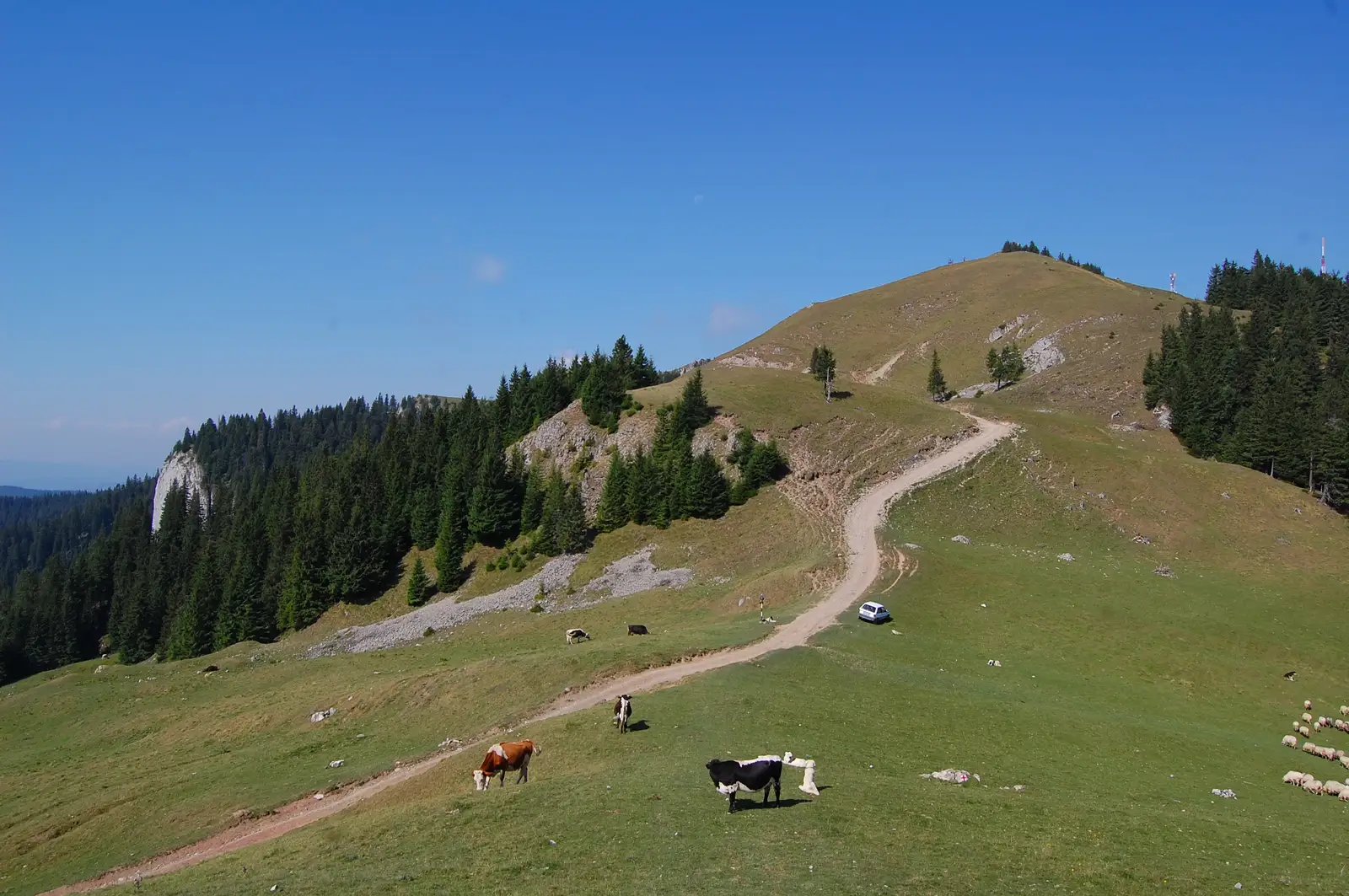 traseul 17 PR - Hotel Rarău