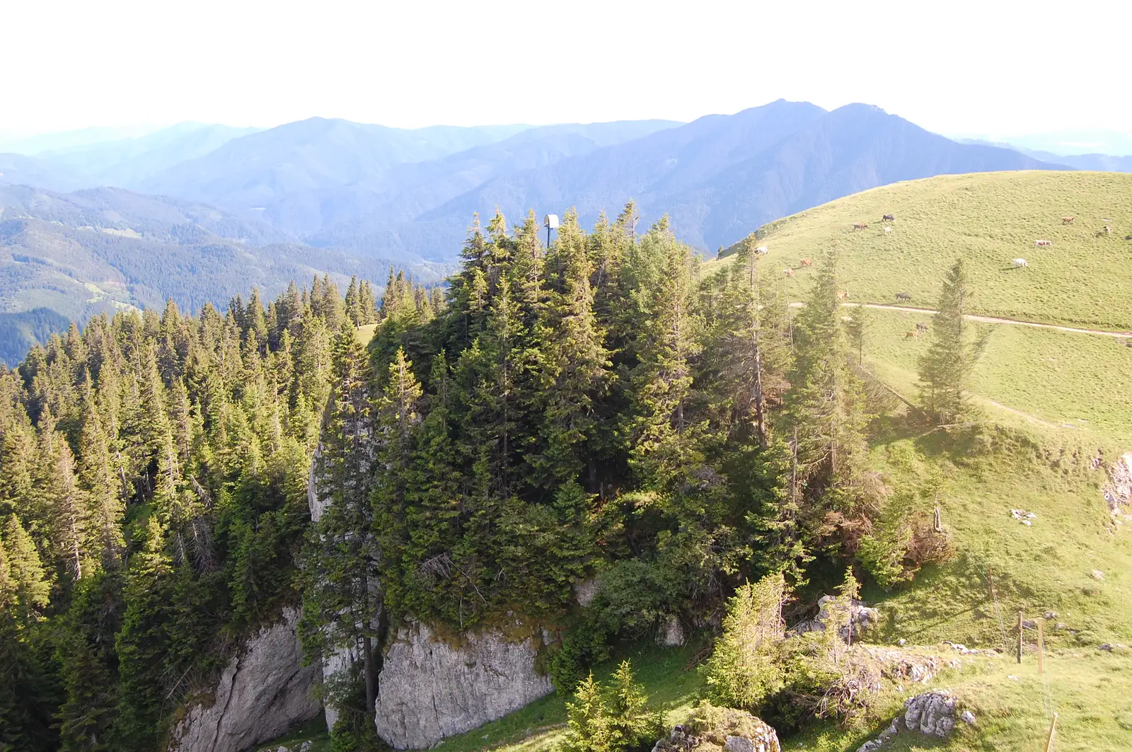 traseul 20 CA - Vf. Rarău