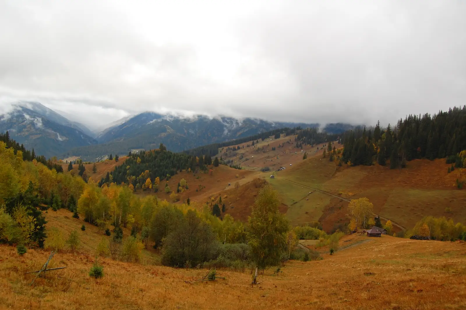 Satu Mare - Valea Casei - traseul 3 BR