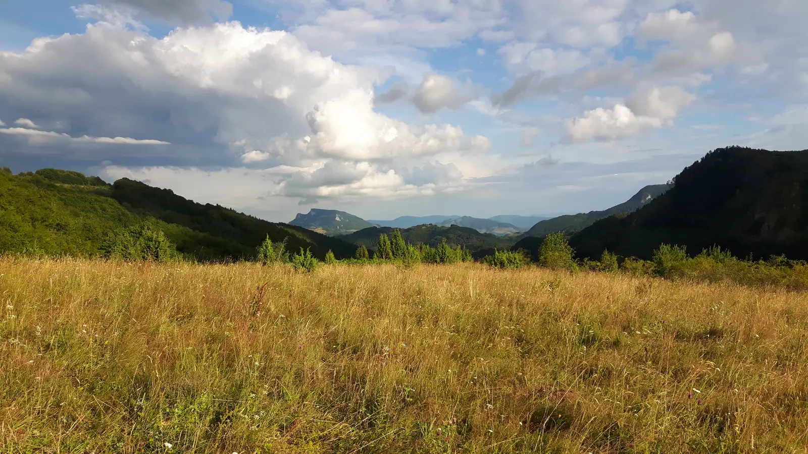 Pasul Buceş-Vulcan - Muntele Găina Cruce