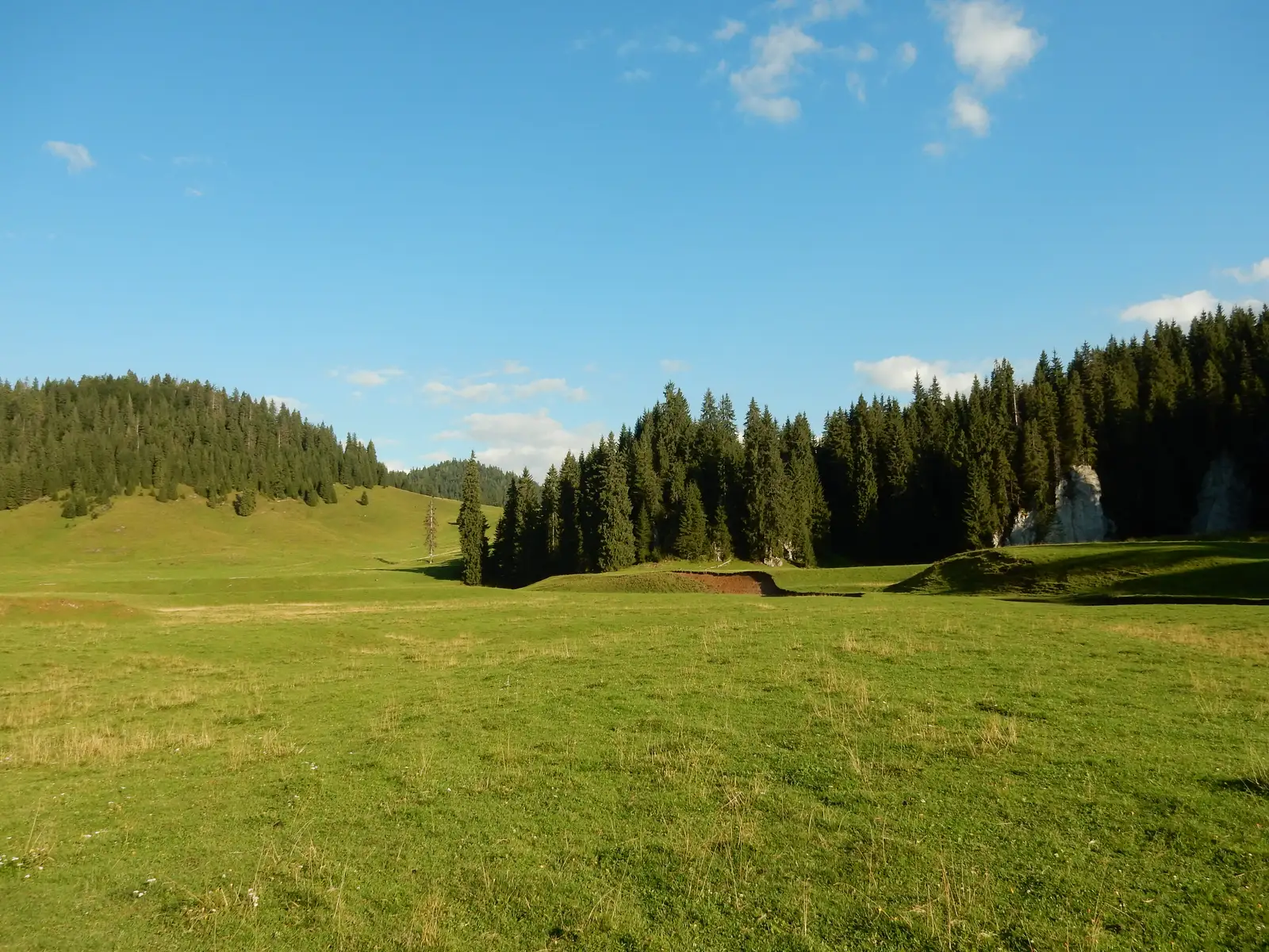 Circuitul Cetăţilor Ponorului
