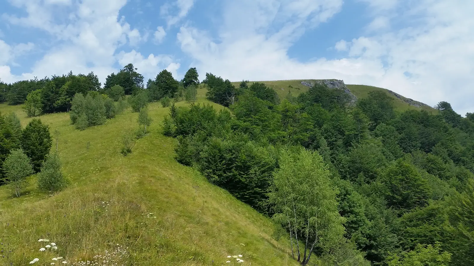 Calea Fusului - sat Chişcău