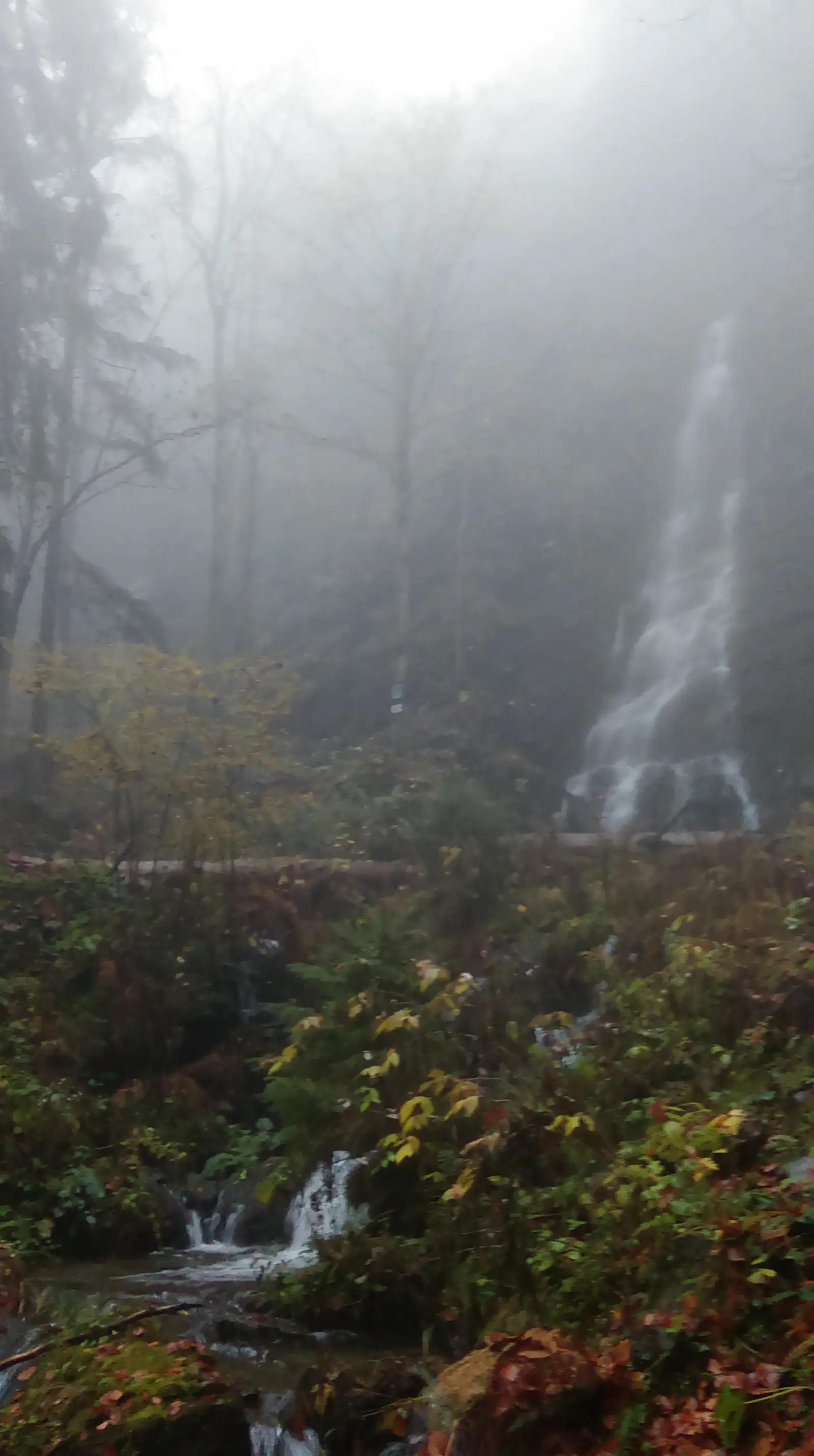 sat Băiţa - Cascada Sf. Treime - sat Poiana