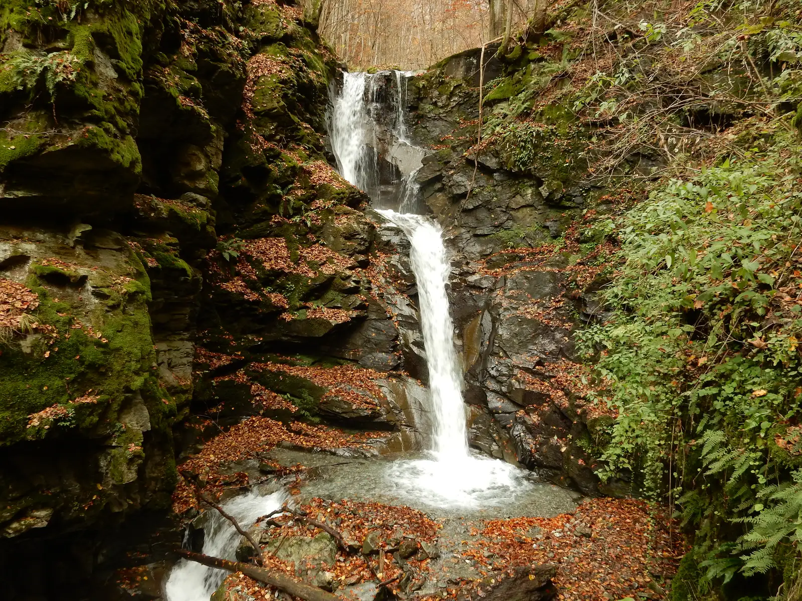 Valea Leucii - Cascada Dibarţ