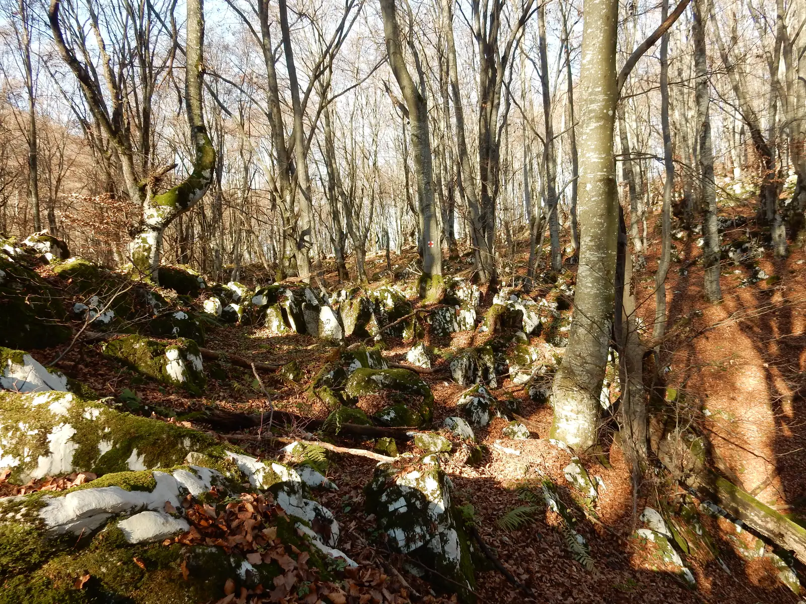 sat Bulzeştii de Sus - Piatra Bulzului (Bulzul Bulzeştilor) - intersecţie cu traseul PA