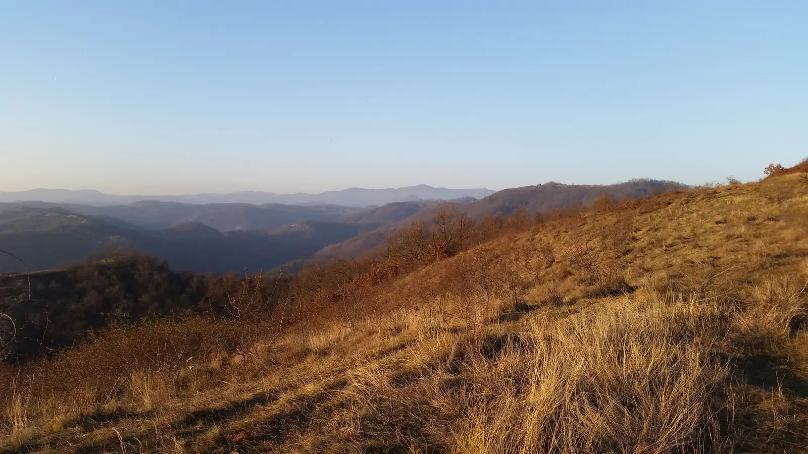 sat Ribiţa - Dealul Căţeilor - intersecţie cu traseul CR