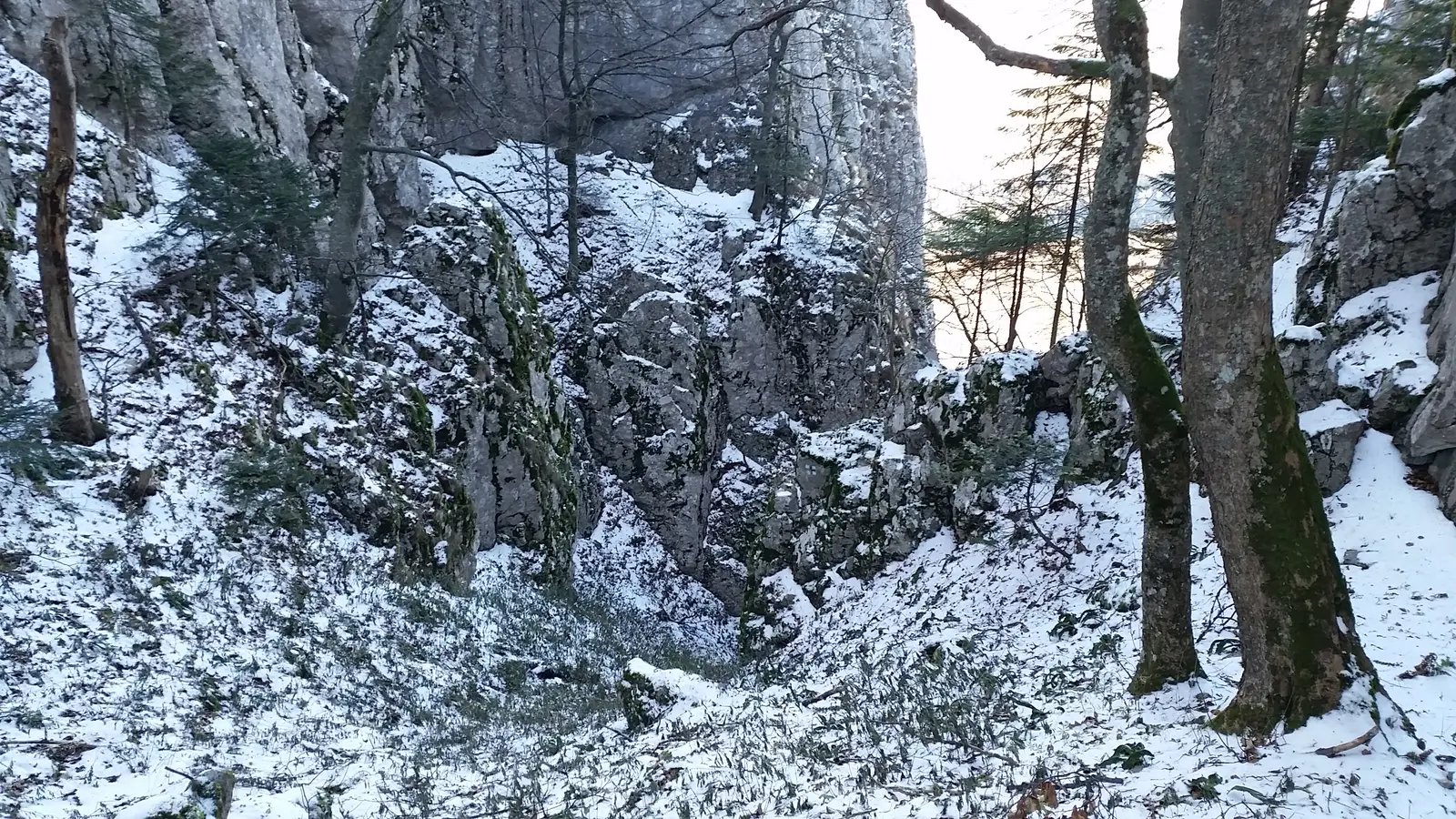 intersecţie cu traseul PA - Poiana Între Vulcani (Platoul Mic) - intersecţie cu traseul PA