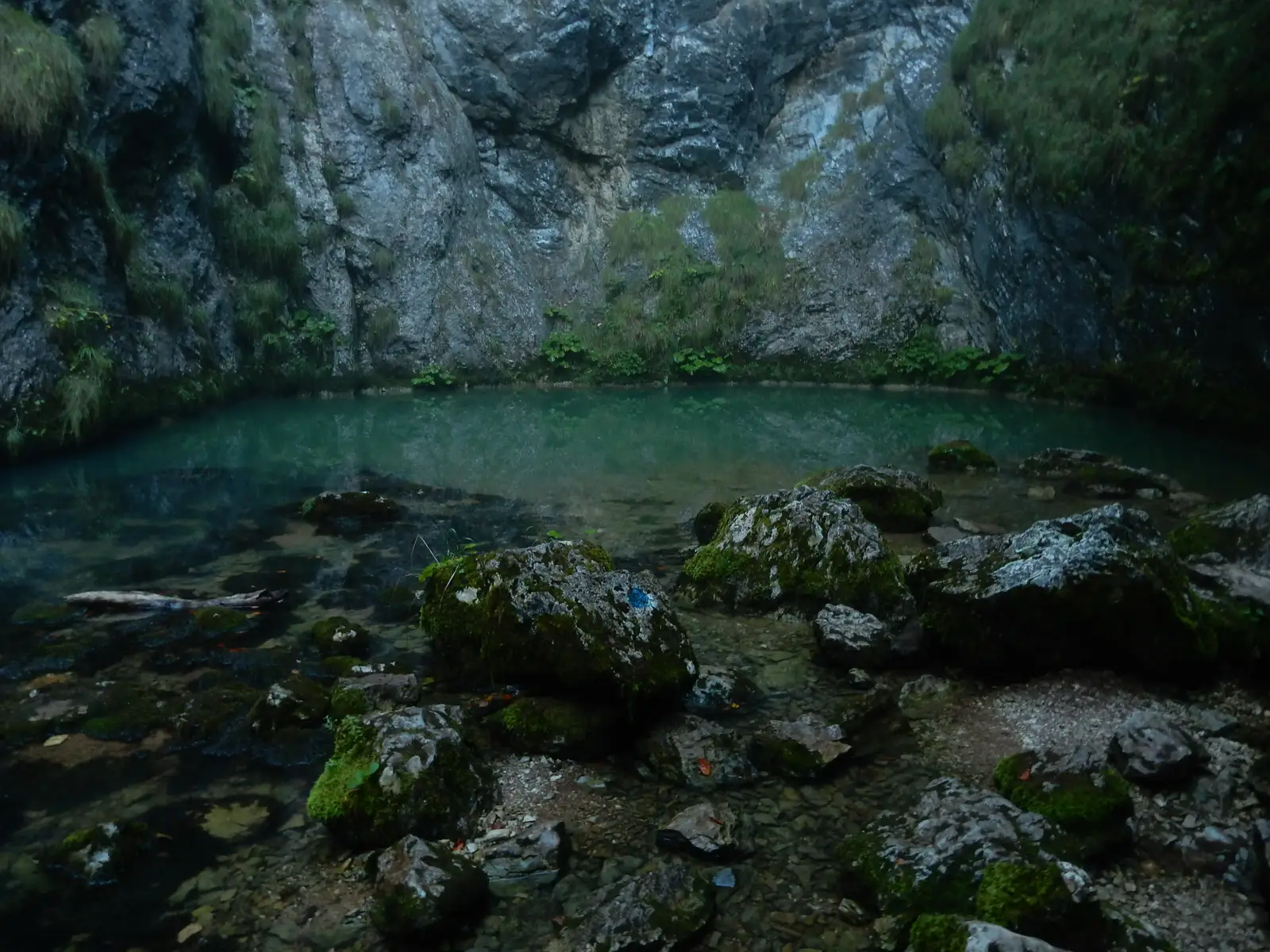 traseul TA (Valea Gârda Seacă) - Izbucul Tăuzului