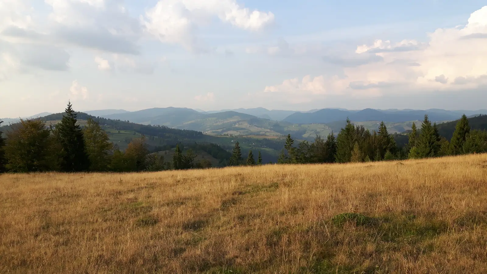 Valea Arieşul Mare (DN75) - sat Biharia (Iarba Rea) - Valea Arieşul Mare (DN75)